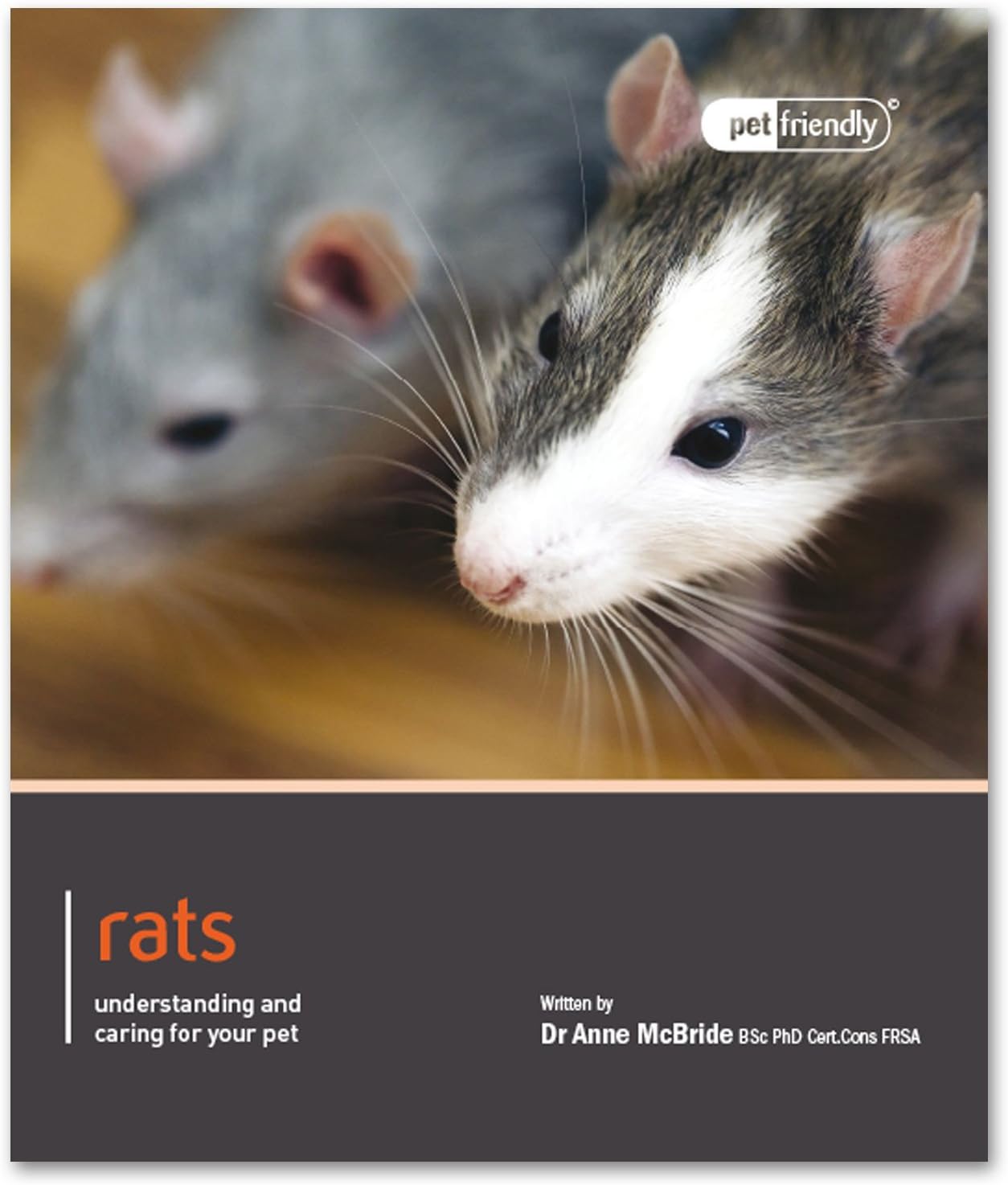 Rats - Pet Friendly: understanding and caring for your pet