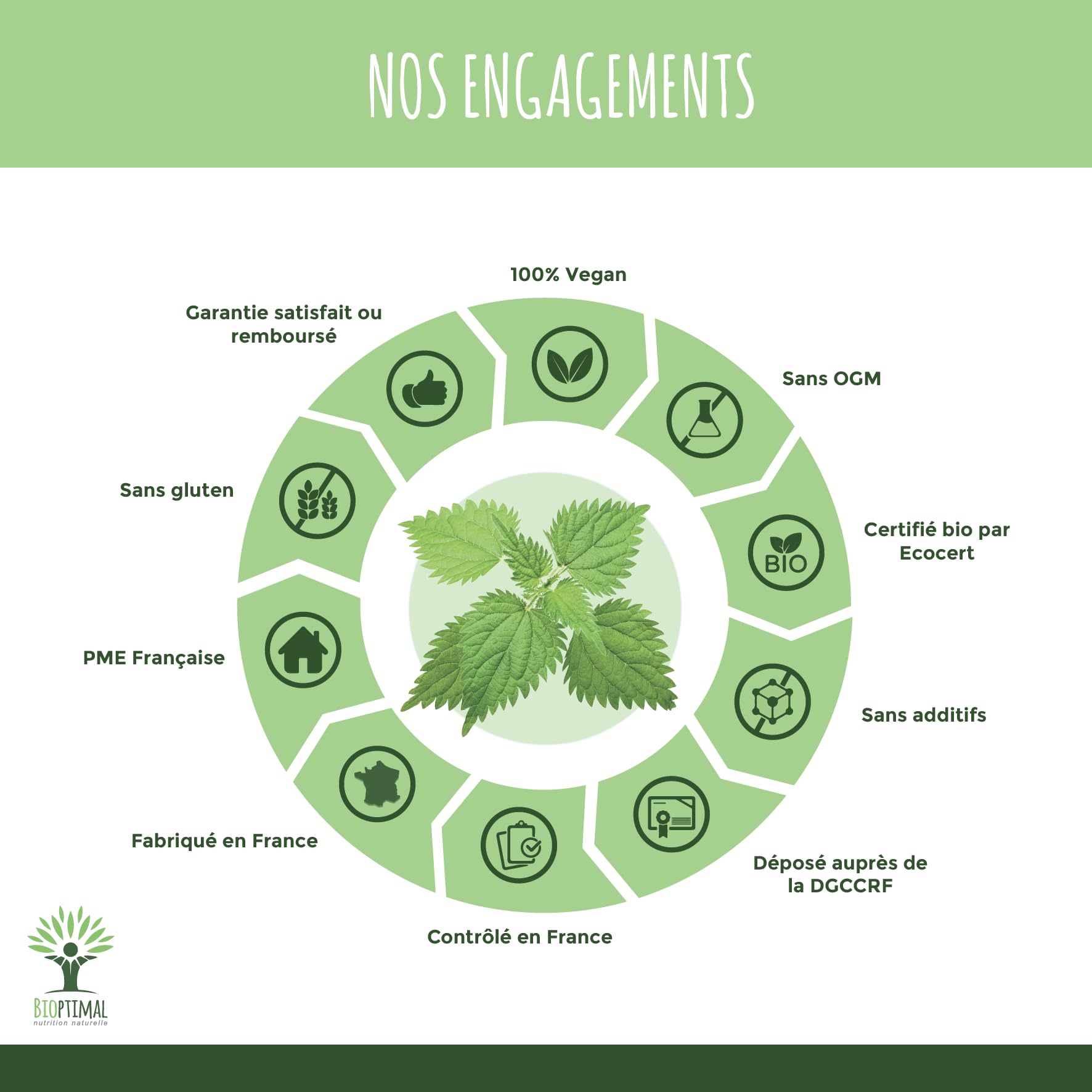 Ortie Bio - Bioptimal - Complément Alimentaire - Silicium Organique - Poudre de Feuille Ortie Pure - Articulation Peau Circulation - 250 mg/gélule - Cultivé en France - Certifié Ecocert - 200 gélules