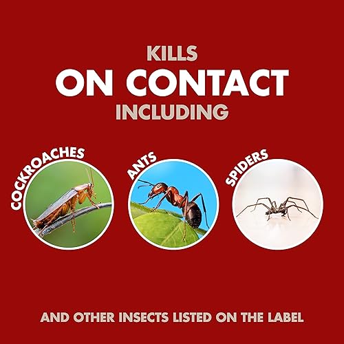 Miniatura 4 de Spectracide Bug Stop Home Barrier, Kills Ants & Wasp, Hornet and Insects Killer, Kills Wasps & Hornets, 2 Count, 20 Ounce (Aerosol Spray)