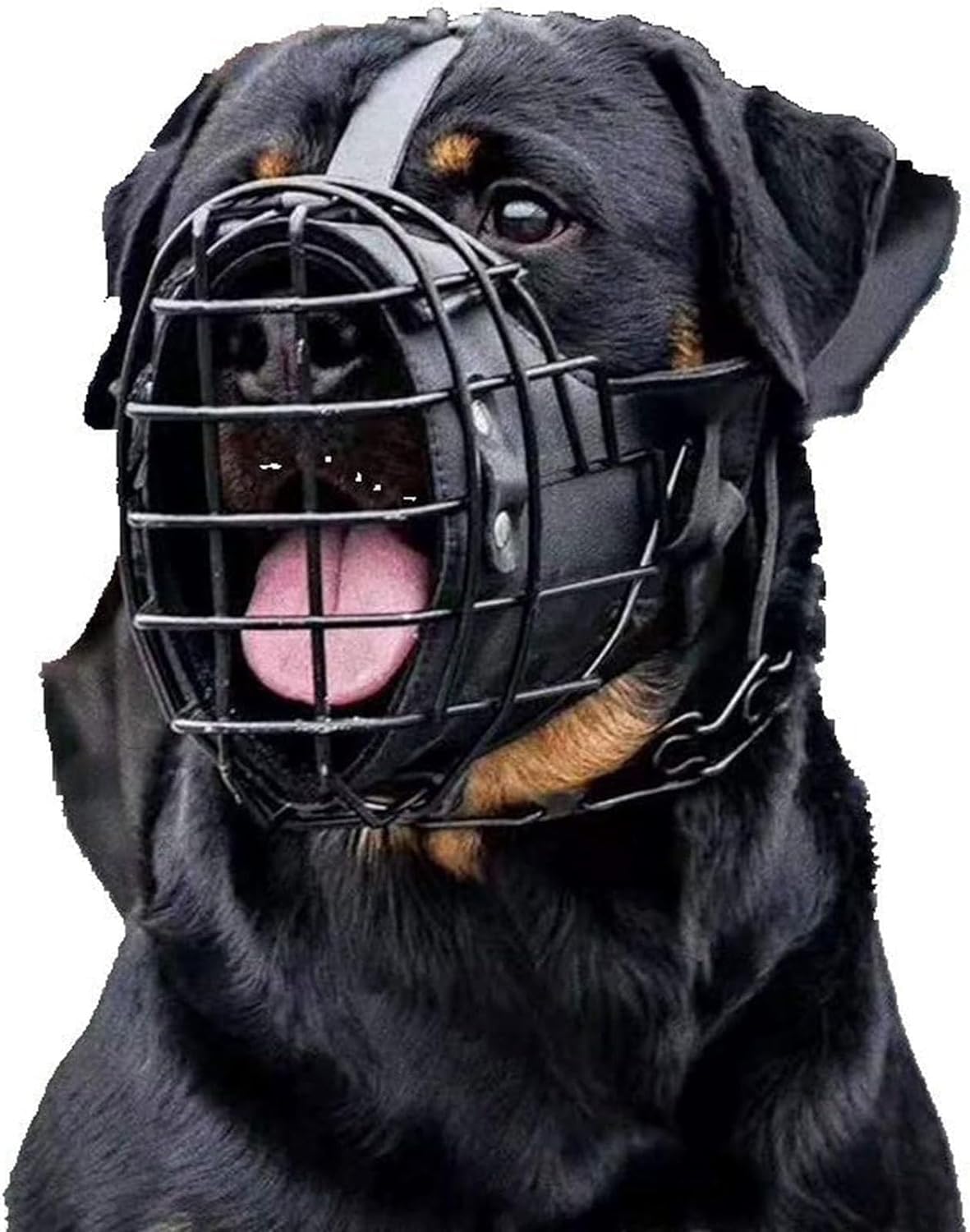 SpeesY Maulkorb für Hunde, groß, Leder & Metall, für Deutscher Schäferhund, Labrador, Rottweiler, belüftet, verstellbar