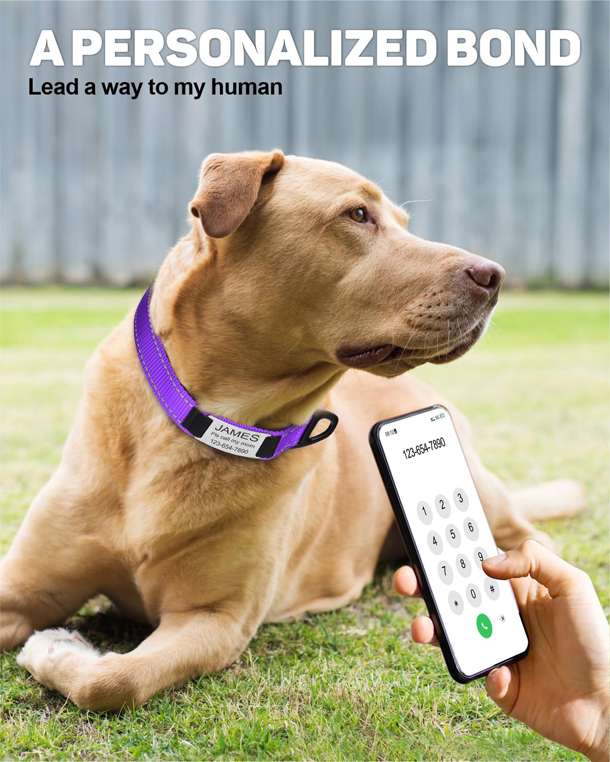 EUSFIYY Collare Di Cane Personalizzato Piccolo Grande - Foto 12