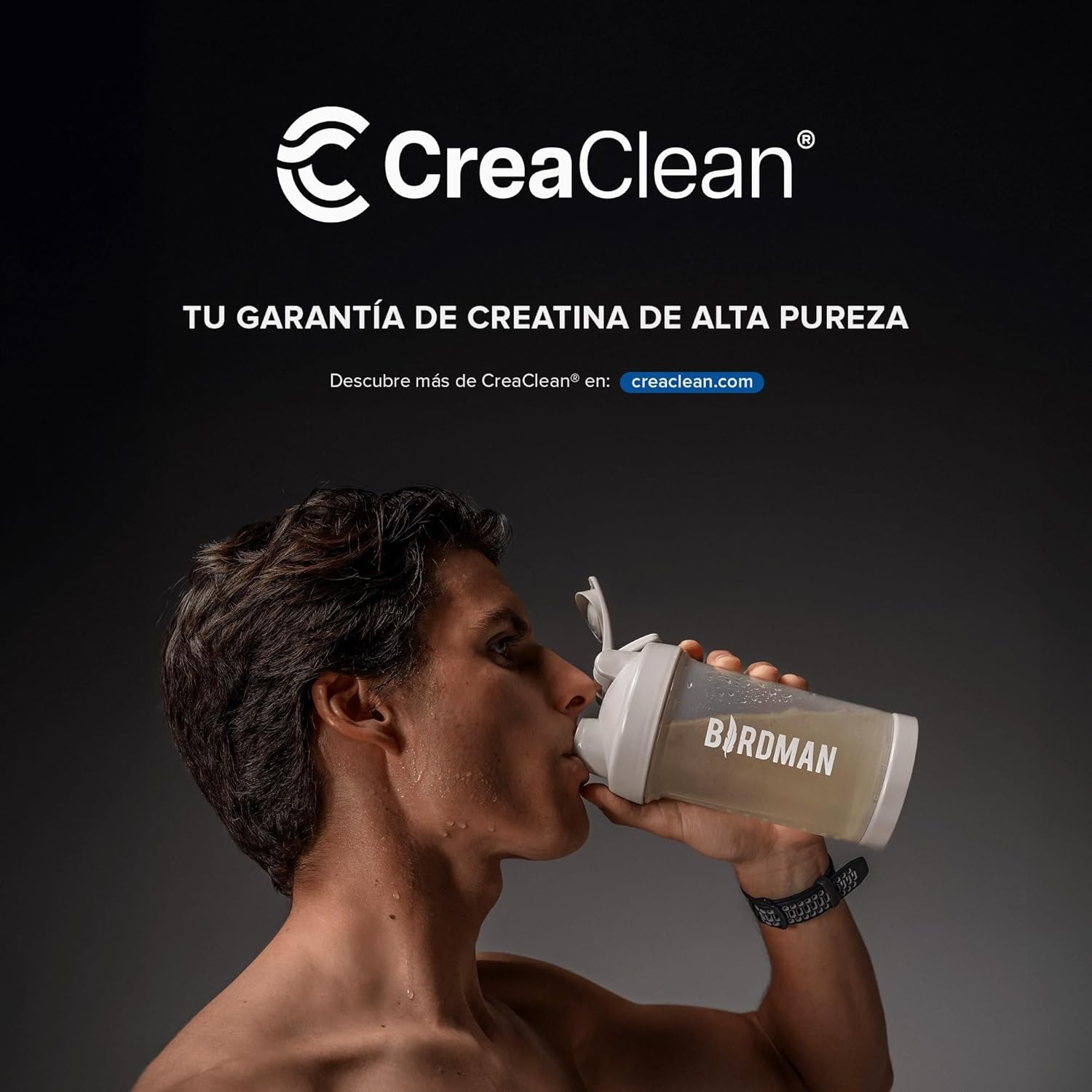 BIRDMAN Creatine Refresher | Creatina Monohidratada con Electrolitos, Magnesio y Vitaminas | Sin Azúcar, Sin Calorías | Saborizantes y Endulzantes Naturales | Sabor Pink...
