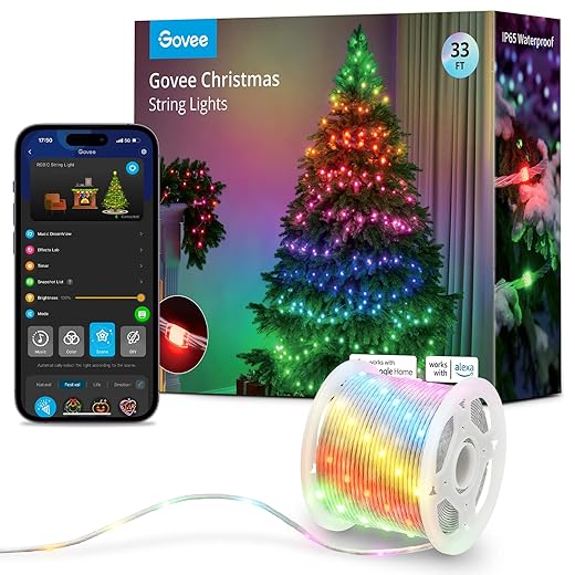 Govee Christmas String Lights, Christmas Decorations Indoor, 10M RGBIC Indoor Lights with 100 LED Lights, App Control with 125+ Dynamic Scene Modes, IP65 Waterproof, Sync with Music, Alexa Compability