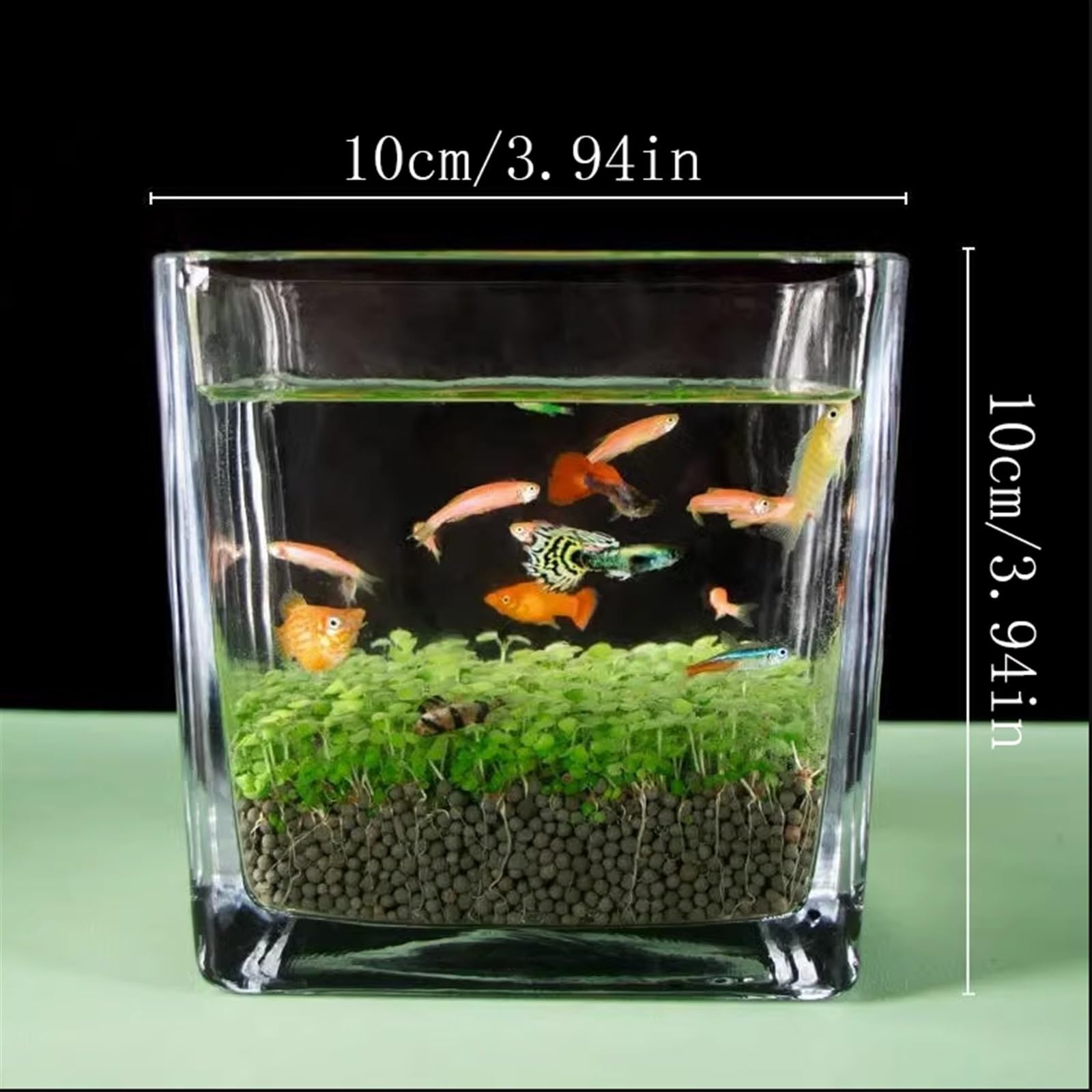Terrarium akwarium z pogrubionym szkłem, przezroczyste akwarium, nasiona roślin wodnych, mikrokrajobraz, dom, biurko, błoto dla roślin wodnych, ekologiczny zbiornik, owady, żółwie (małe)