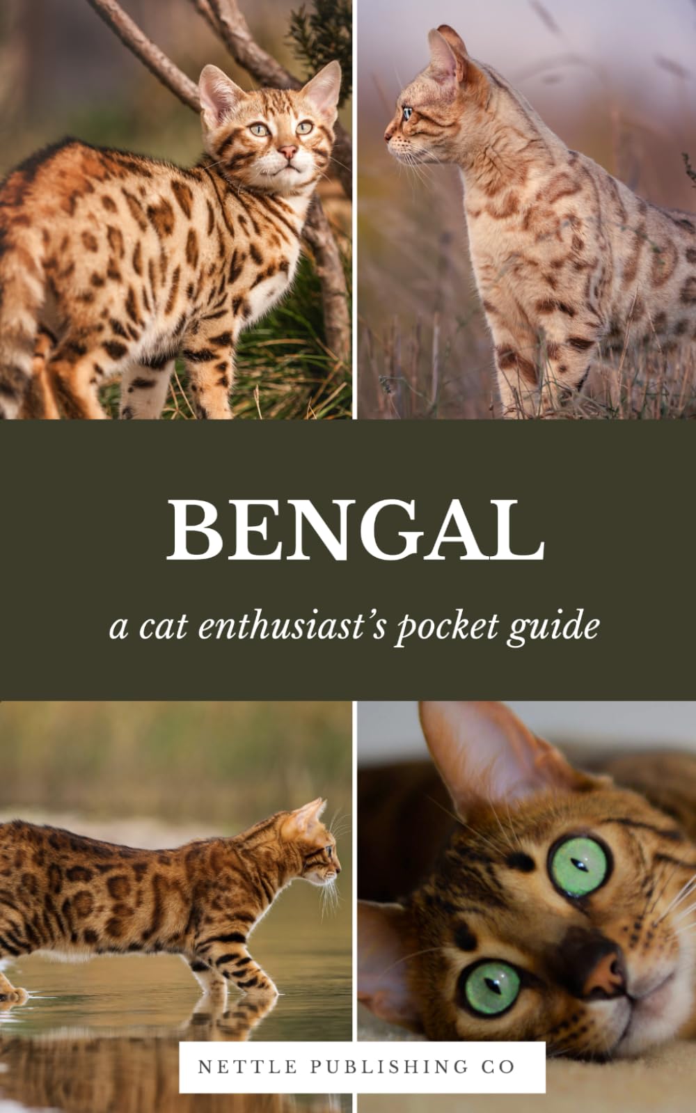 Bengal Cats | A Complete Pocket Guide: Breed-Specific Care Handbook With Pet Passport with Records Logbook (Cat Breeds by Nettle Publishing Co)