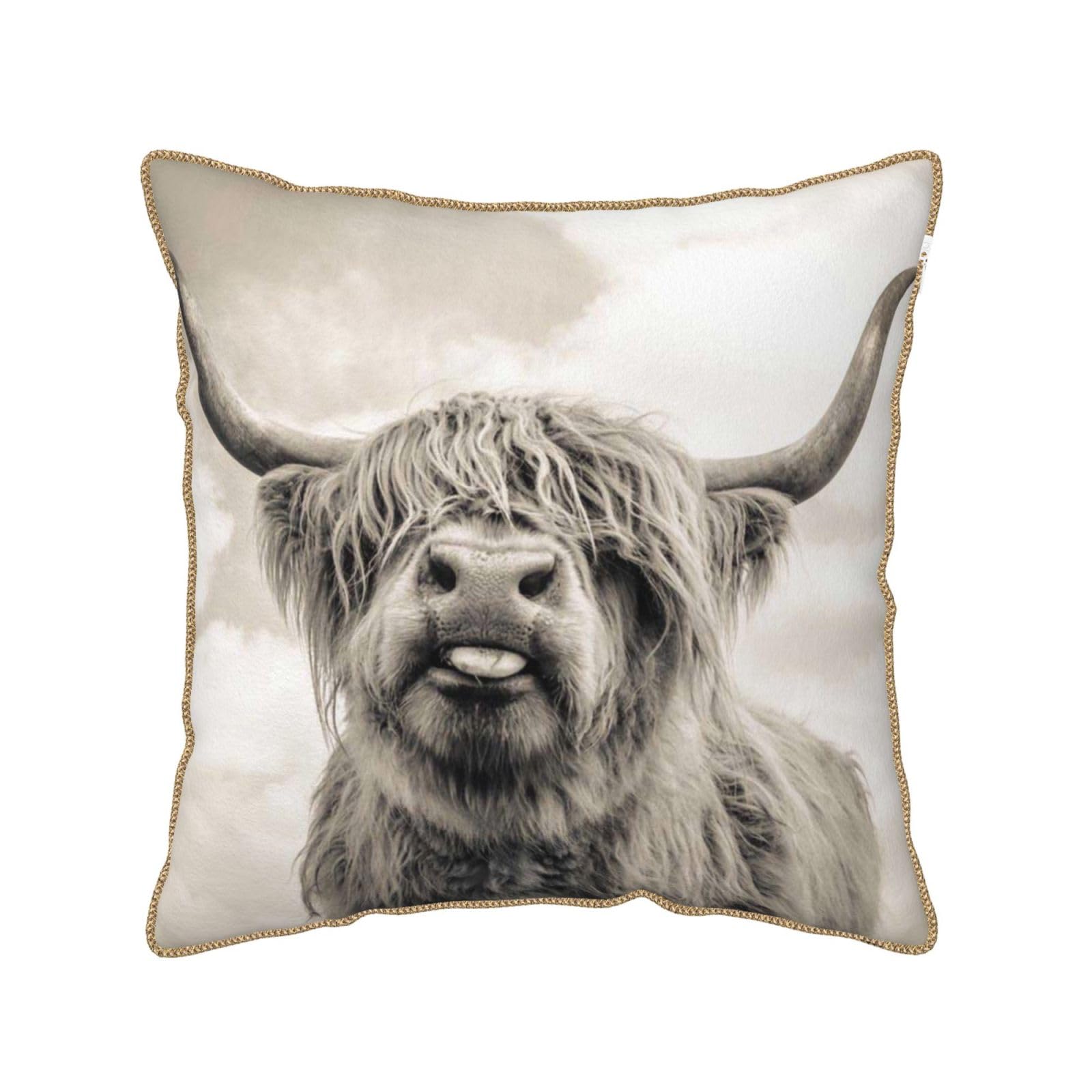 Housse de coussin originale vache des Highlands en velours, cadeau idéal pour déco cocooning