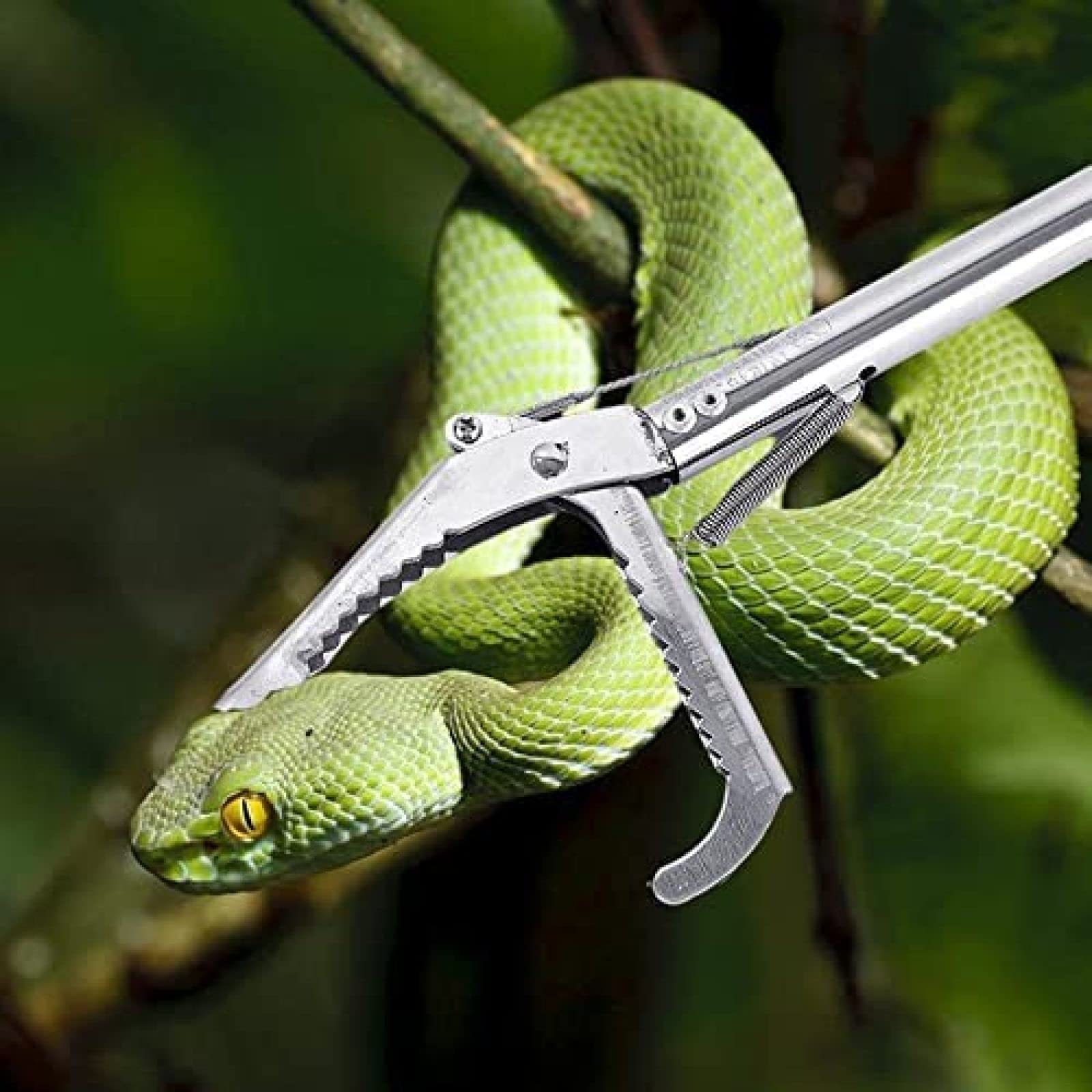 Schlangenfänger, 150 cm, robuste Schlangenzange, Reptilien-Aalgreifer, Edelstahl, breites Backenwerkzeug