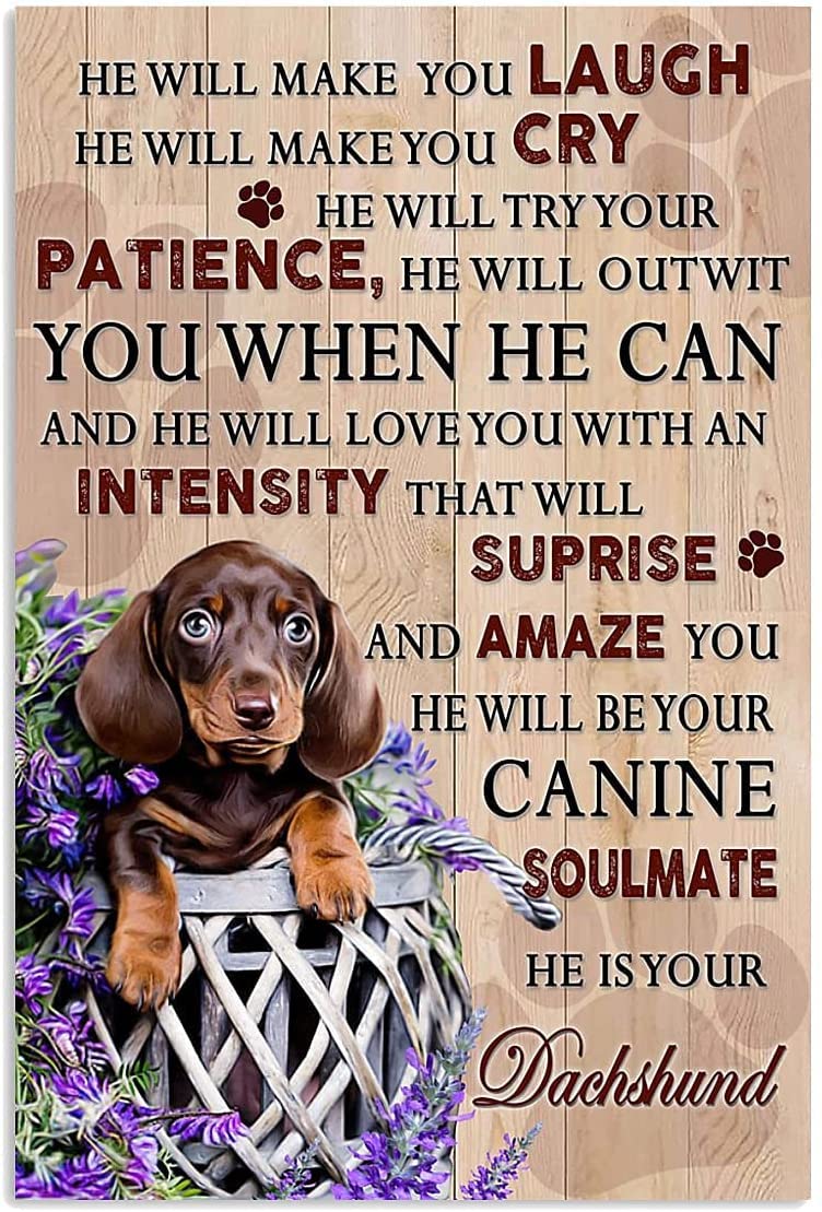 Yelacecca Dachshund He Will Make You Laugh Poster Plaquewall Decor For Home Cafoffice Store Pubs Club Gift Funny Vintage Metal Sign Poster 8X12 Inches