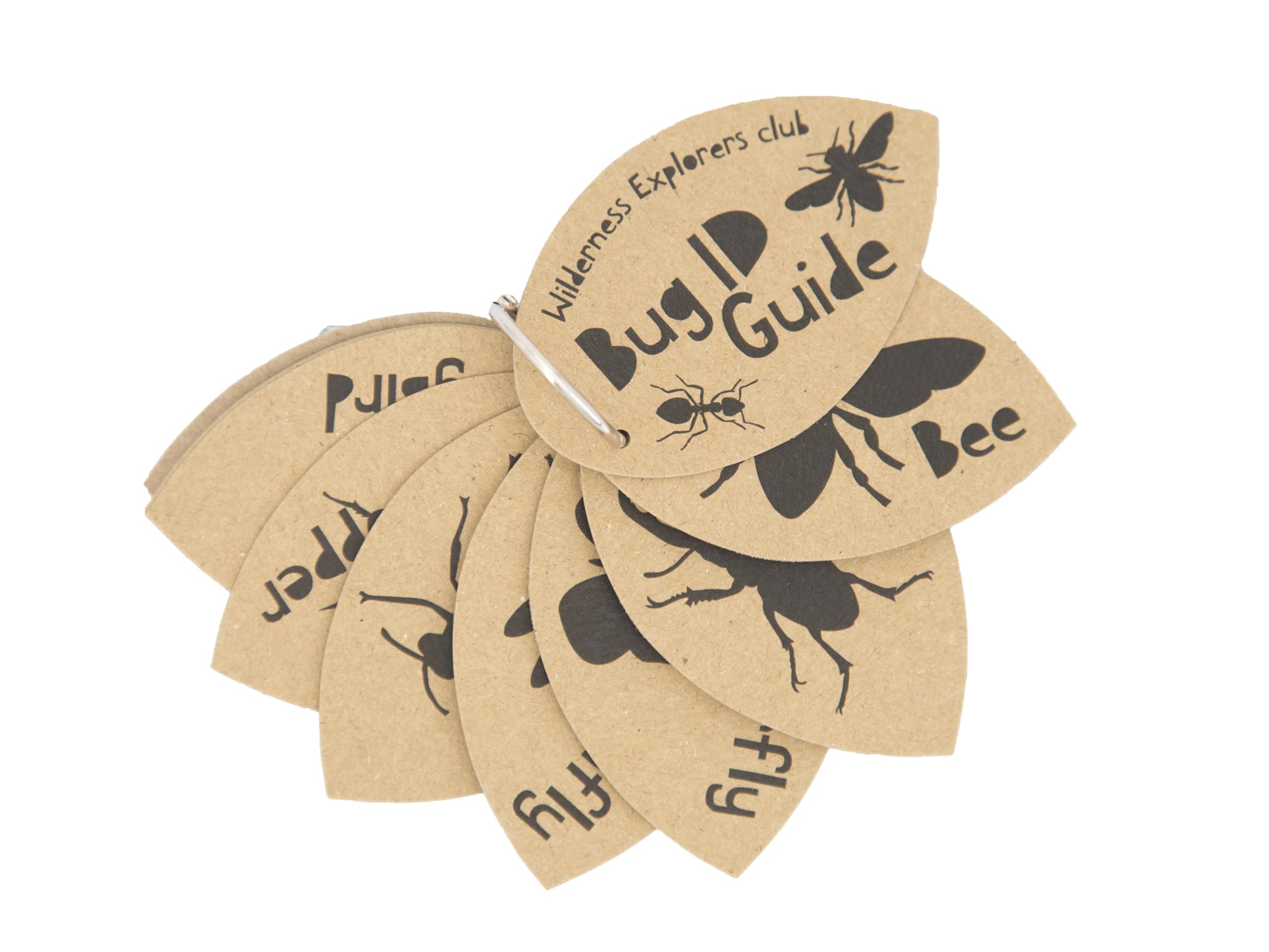 Bug ID Guide, perfect for forest school, child minder, home ed, camping trips