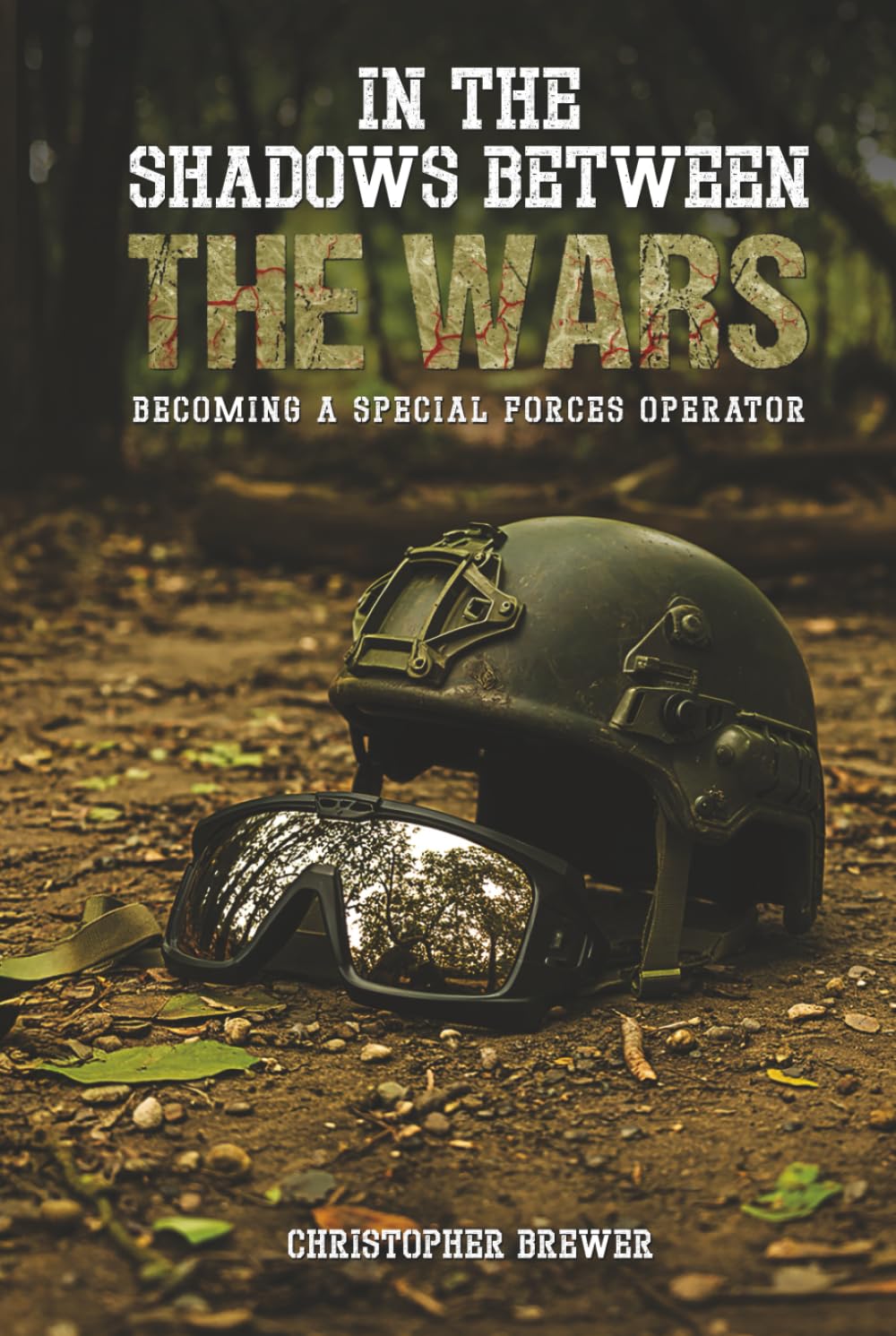 In the Shadows Between the Wars: In the Shadows Between the Wars