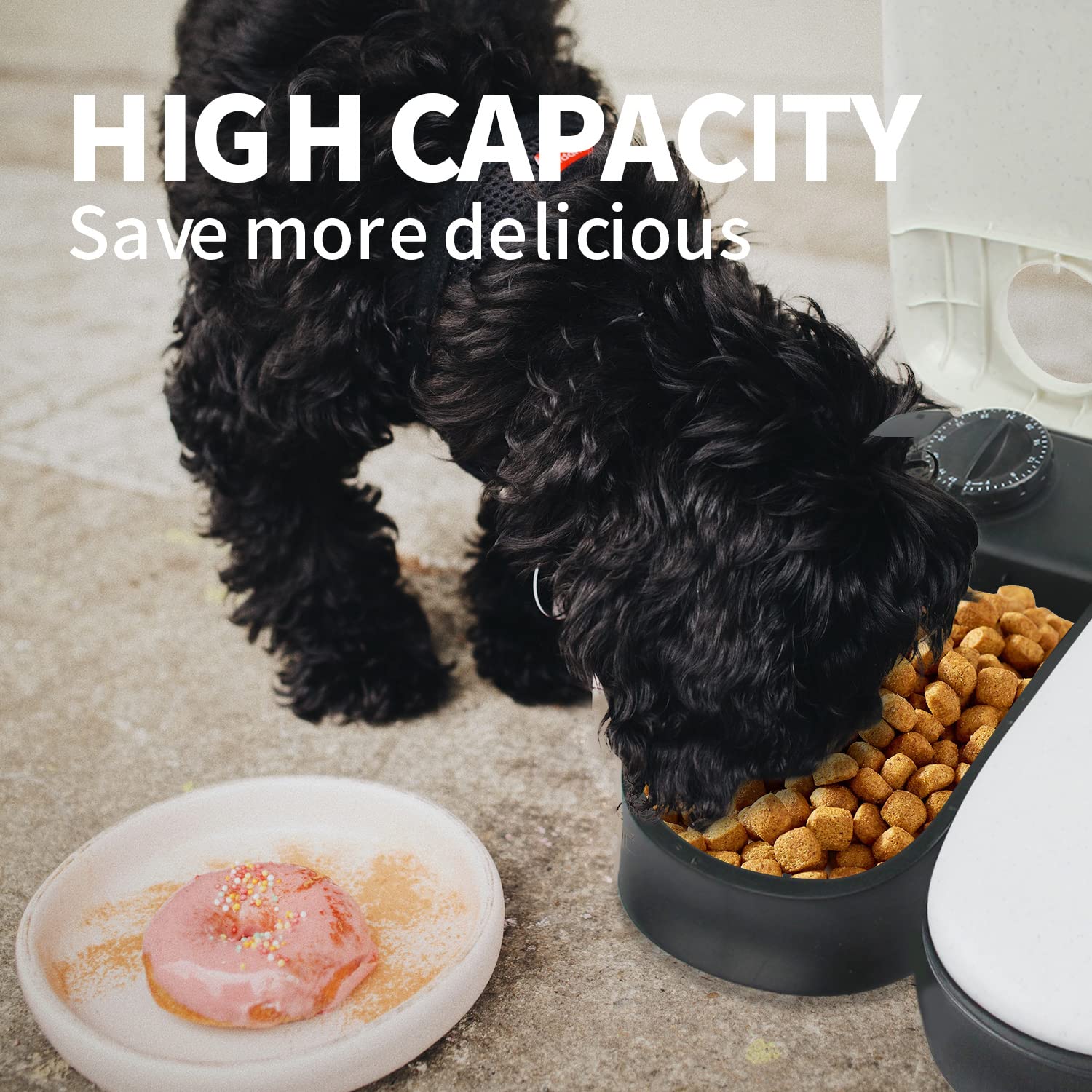 PAWISE Automatic Pet Feeder, Auto Dog Dry Food Dispenser with Timer for
