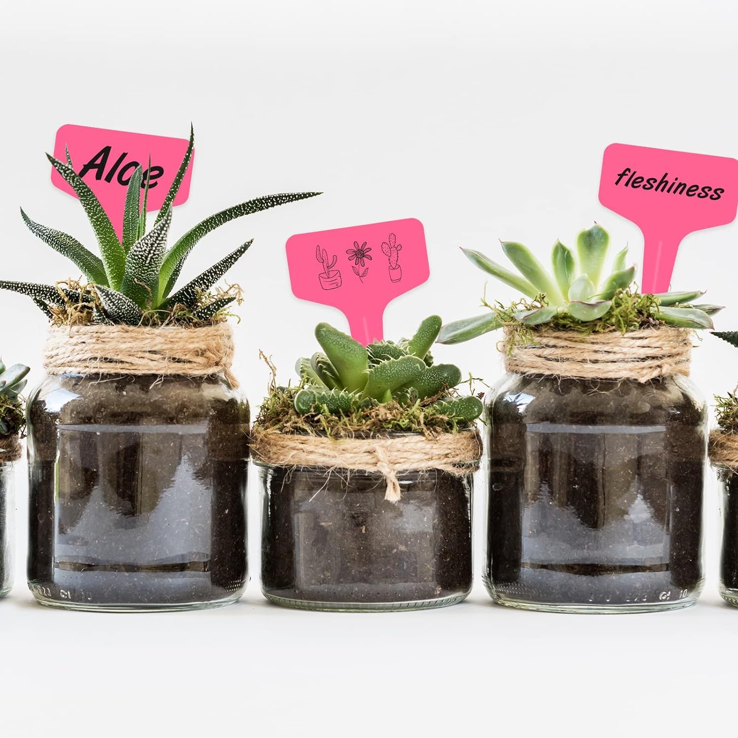 100 Pièces Etiquette Arbre Fruitier,Marqueur De Jardin Plastique Suspendus Étiquettes De Plantes, Étiquettes De Jardin Imperméables - Jardin