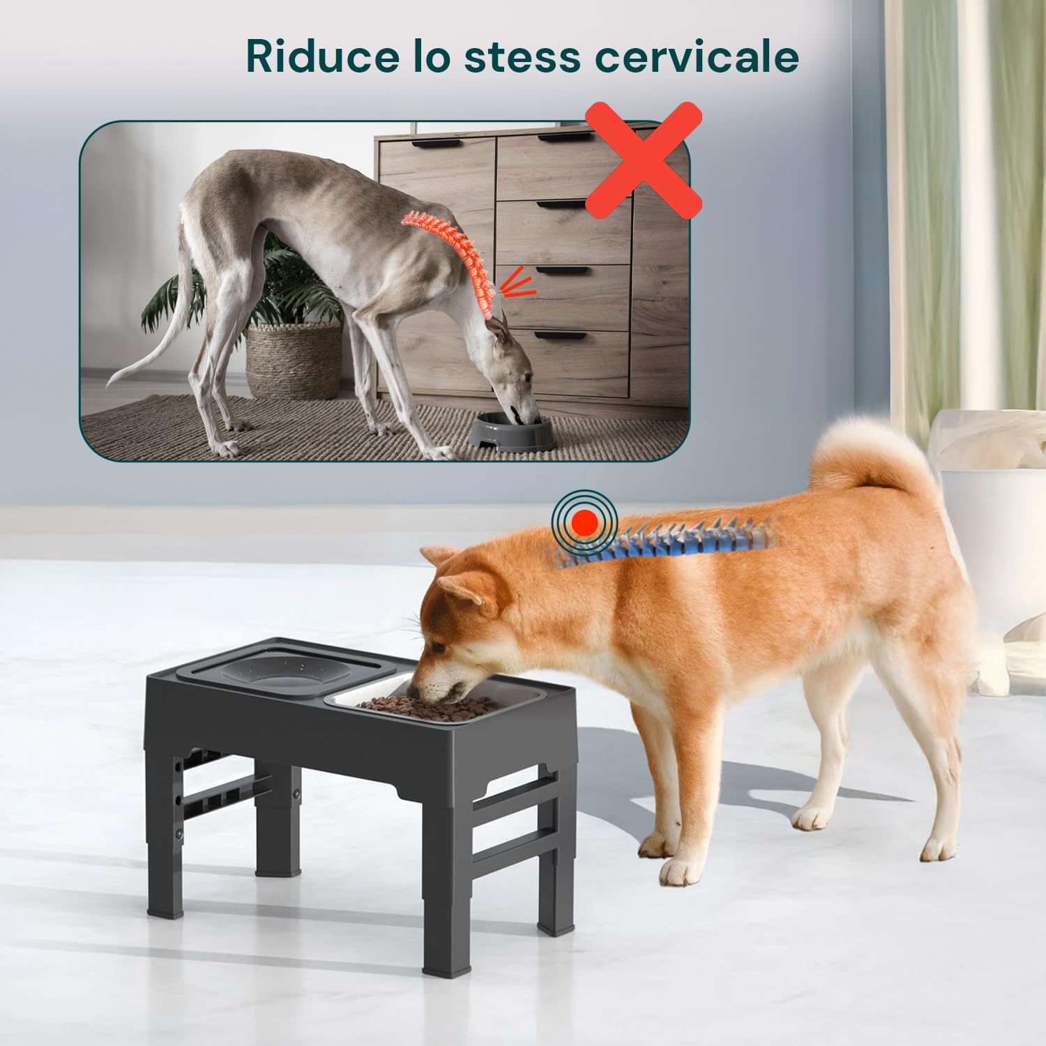 Wintem - Ciotole per Cani In Acciaio Inox e Antigoccia 1,1L con Disco Galleggiante, Rialzate Regolabili in Altezza, Facili da Pulire e Stabili per Uso Quotidiano