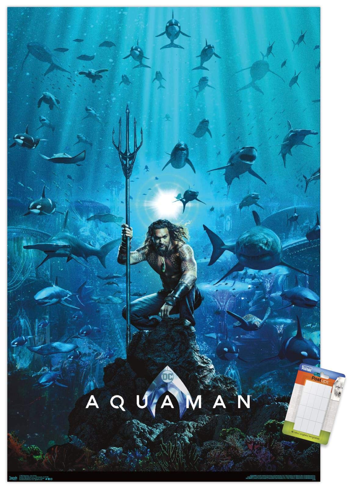 Amazon.co.jp: DCコミックス 映画 - アクアマン - 1シート