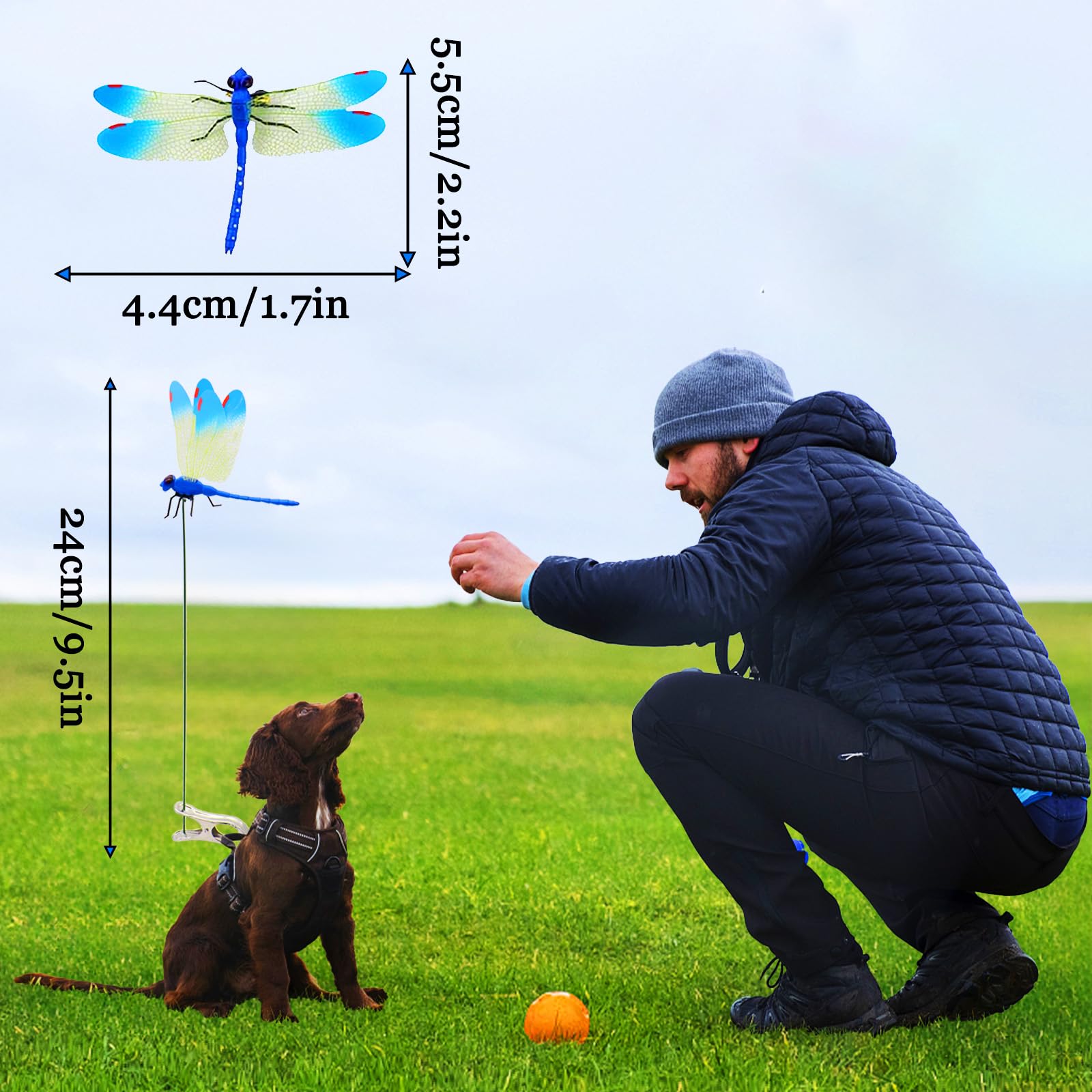 Amazon.com: sntxmy Fake Dragonfly Clip, Realistic Dragon Fly Clips