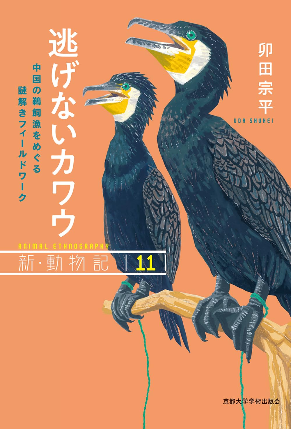 鵜の川　おまとめ 71y0VMnpabL.jpg