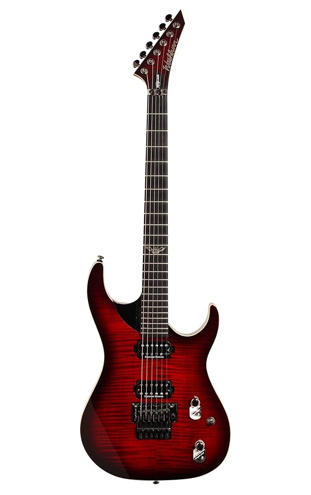 期間限定値下　Washburn N5 made in USA 期間限定値下 Washburn N5 made in USA 期間限定値下 Washburn