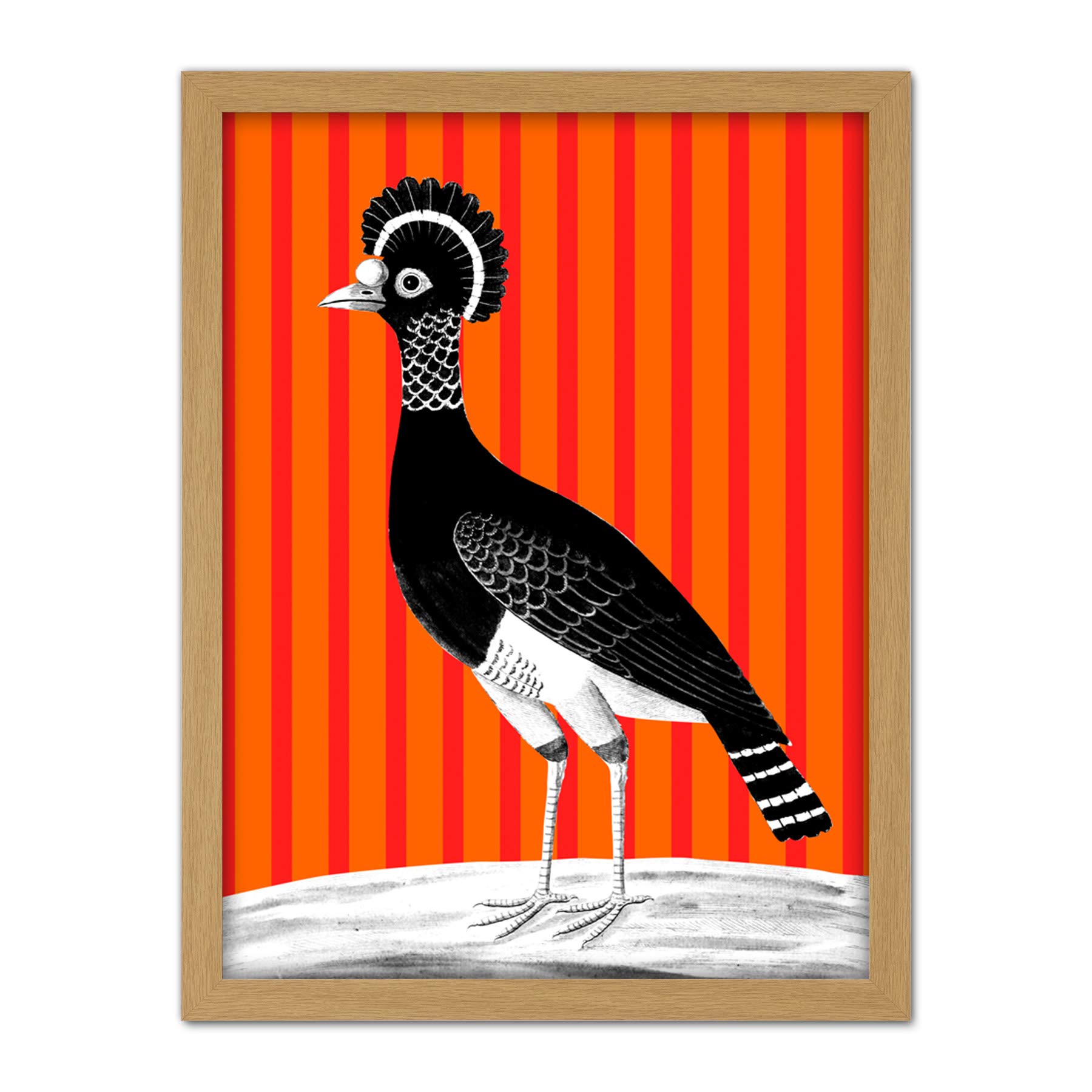 Wee Blue Coo Tall Birds On Stripes Carafson Hen Artwork Framed Wall Art Print 18X24 Inch