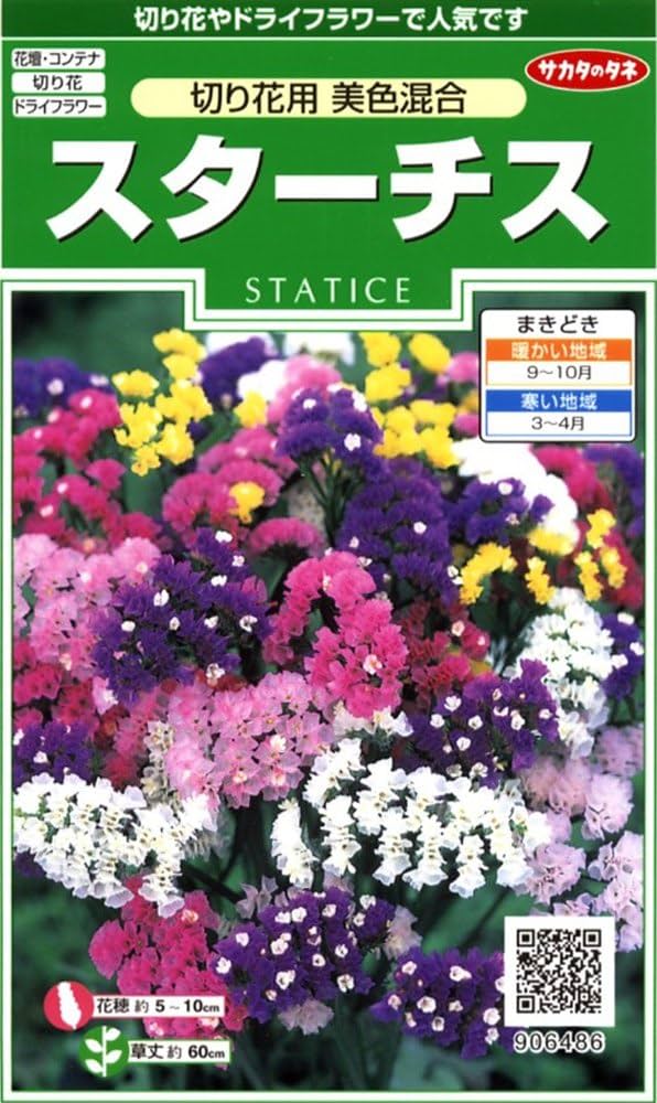 Amazon | サカタのタネ 実咲花6486 スターチス 切り花用美色混合