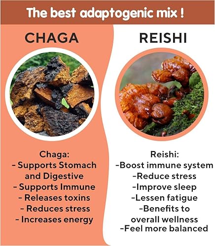 Miniatura 4 de Baikal Tea Chaga Reishi Tea Wild Chaga Tea con Reishi - 30 bolsas de té sin blanquear - Suplemento de hongos Ganoderma Lingzhi con Chaga salvaje