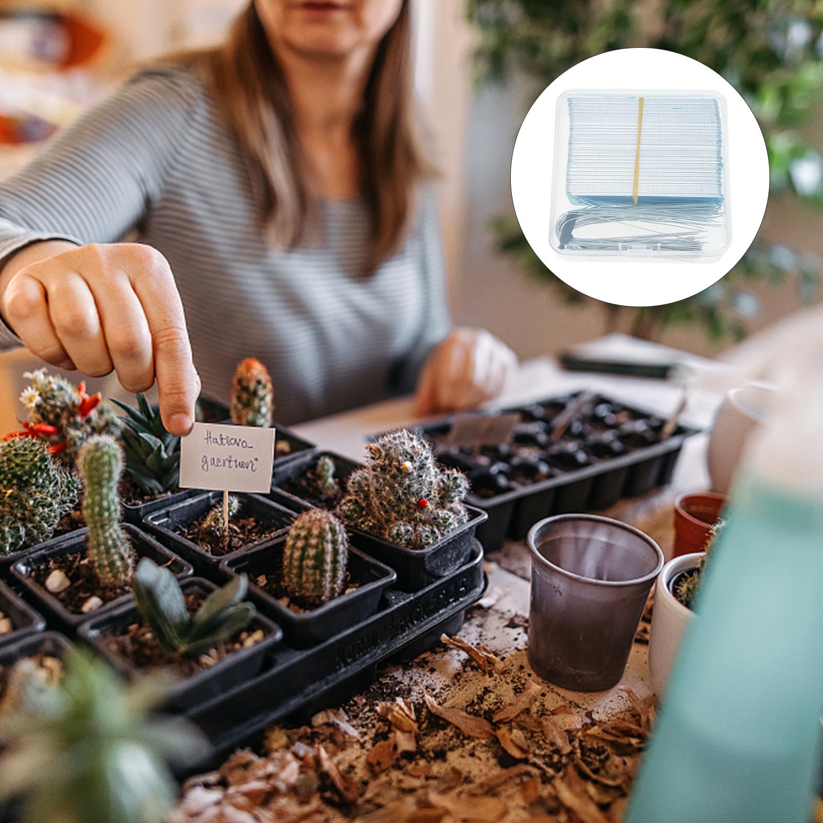 BESPORTBLE Aluminium Pflanzenschilder Satz Wasserfest Langlebig für Garten Pflanzennamensschilder Blumentopf Pflanzenstecker