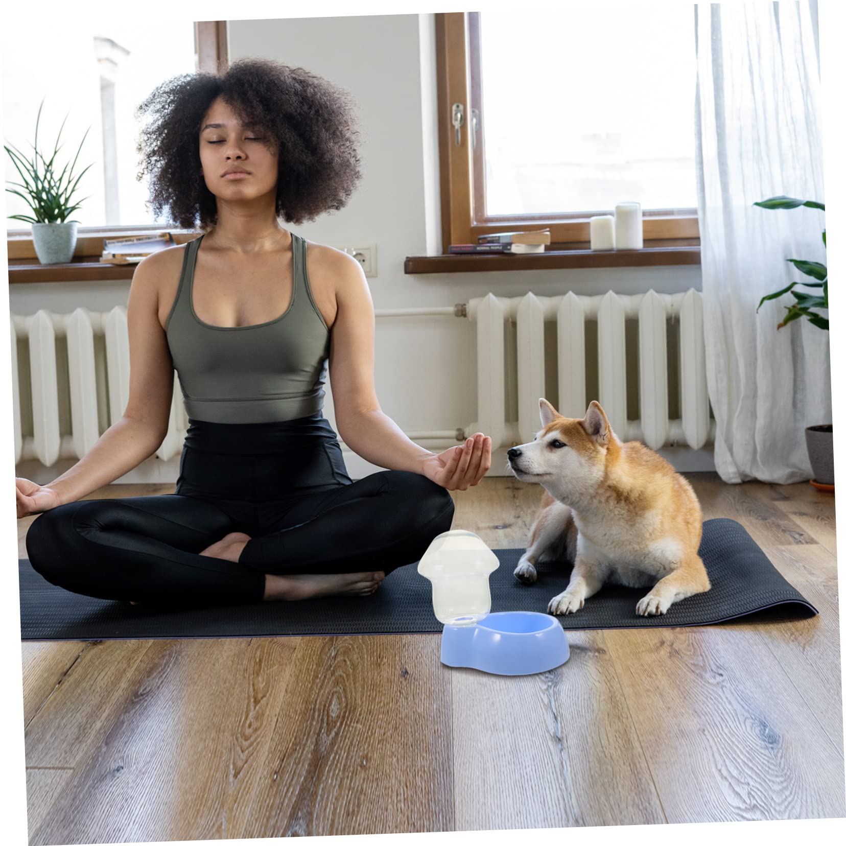 COLLBATH 3sätze Automatischer Transparenter Wasserspender Für Haustiere Kunststoff Trinknapf Für Hunde Und Katzen Einfach Zu Reinigen Für Und Unterwegs
