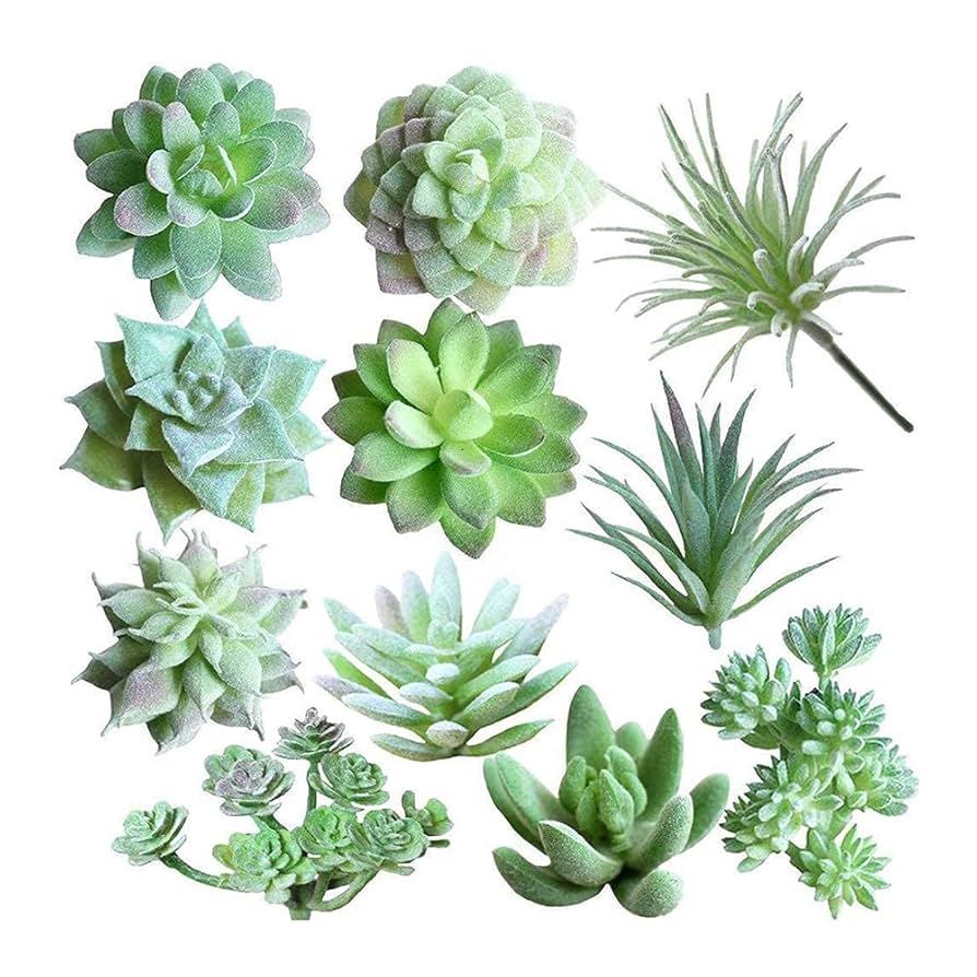 【フェイクグリーン】【インテリアグリーン】【観葉植物】【多肉植物フェイク】 Amazon｜Villa Como フェイクグリーン インテリアグリーン 人工