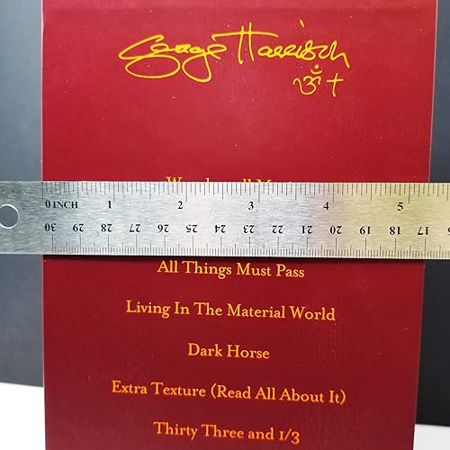 Miniatura 3 de 1 caja 5XL funda exterior de 4 mil sin solapa, para discos de vinilo de 13+ LP 33 rpm, bolsa de polietileno de plástico de polietileno (+ 1