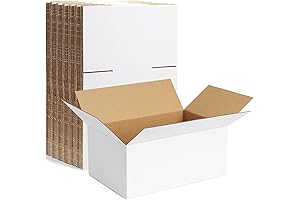 White Packaging Boxes: Famagic 10 Pack 9x6x4