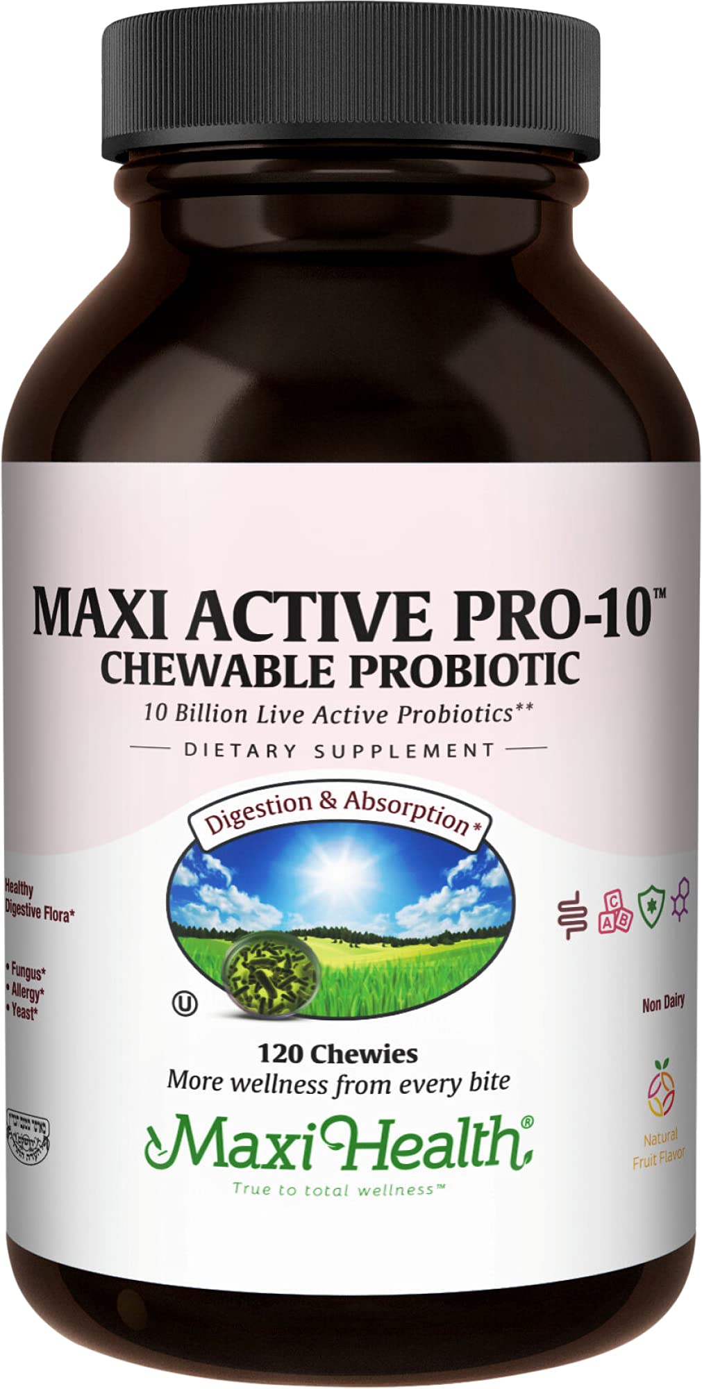 Maxi HealthActive Pro-10 Kids Probiotic Chewables – 15 Strains for Digestive & Immune Health –10 Billion probiotic Blend- Dairy-Free, Kosher – Supports Gut Health, Vegetarian – 60 ct (Shelf Stable)