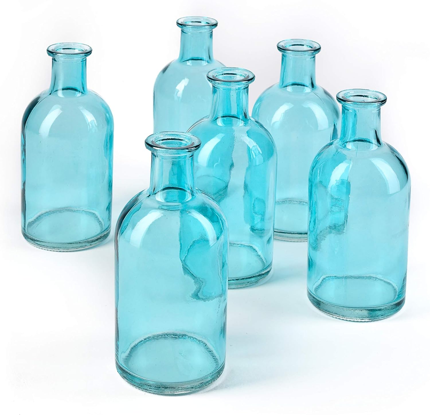 Serene Spaces Living 6Piece Medicine Bottle Vases for Long