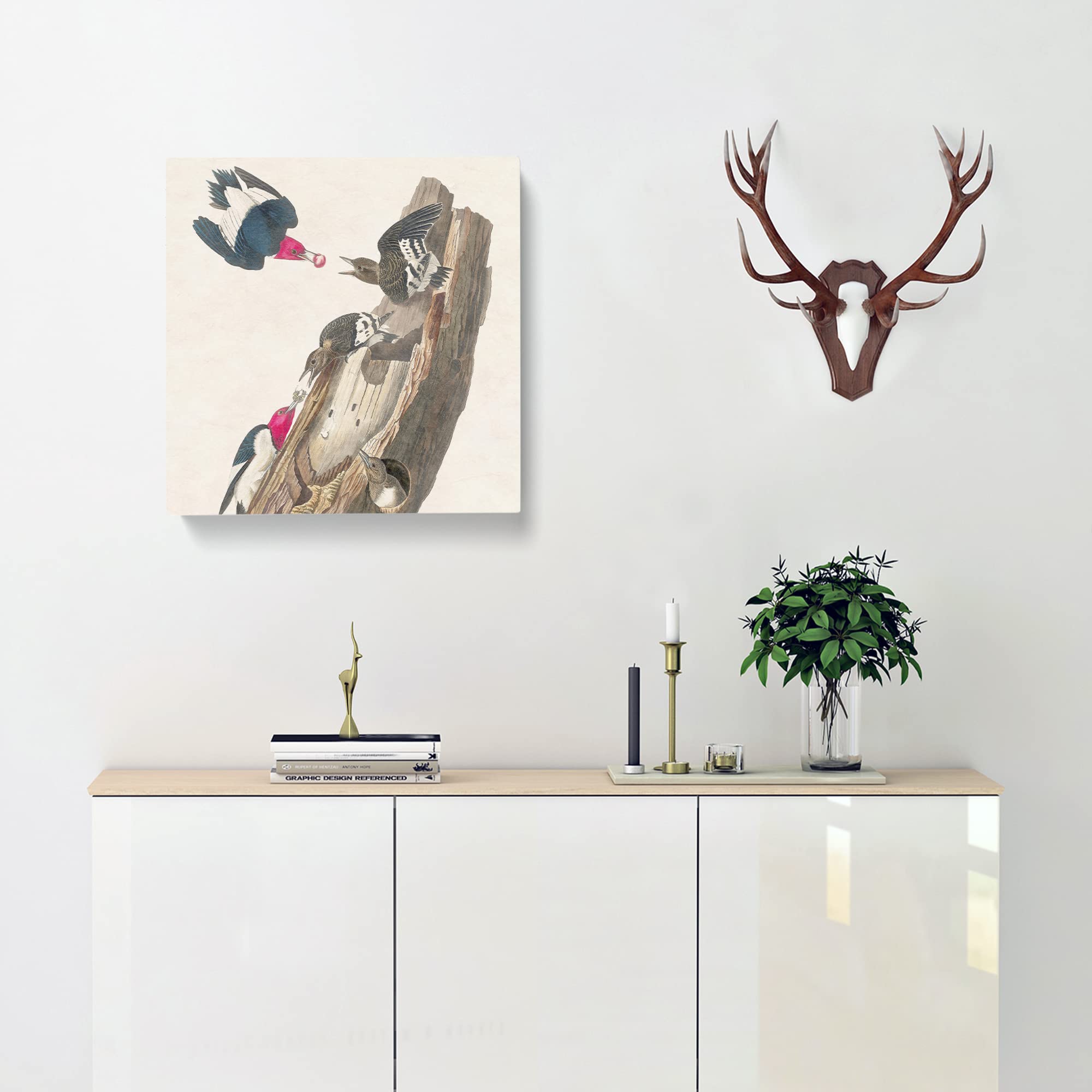 Red headed Woodpeckers Bird by John James Audubon Canvas Print, Mixed, 35L x 35W cm - Image 2
