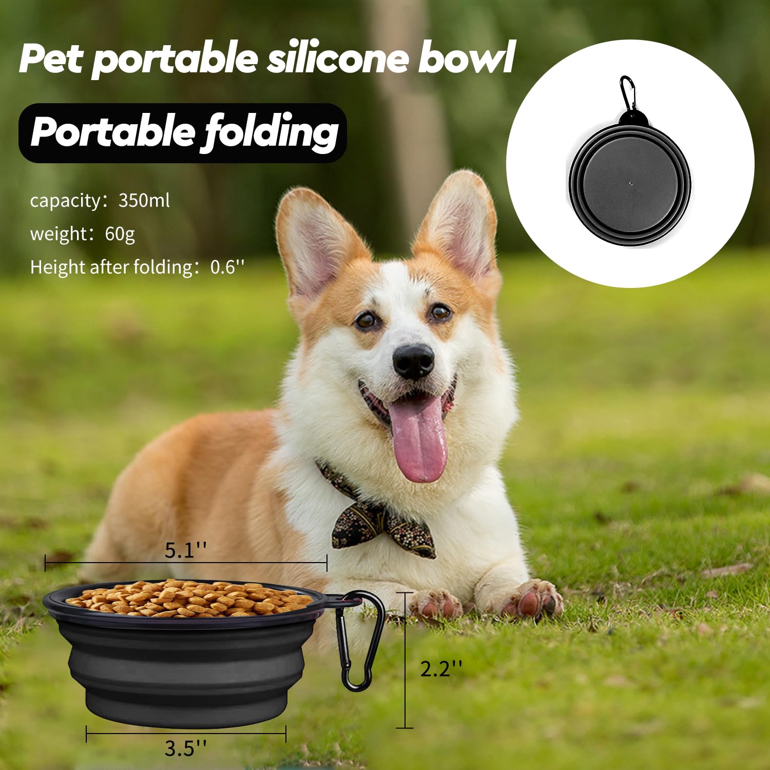 Amazon.com : Wowuwoai Reflective Dog Collar and Leash Set with 