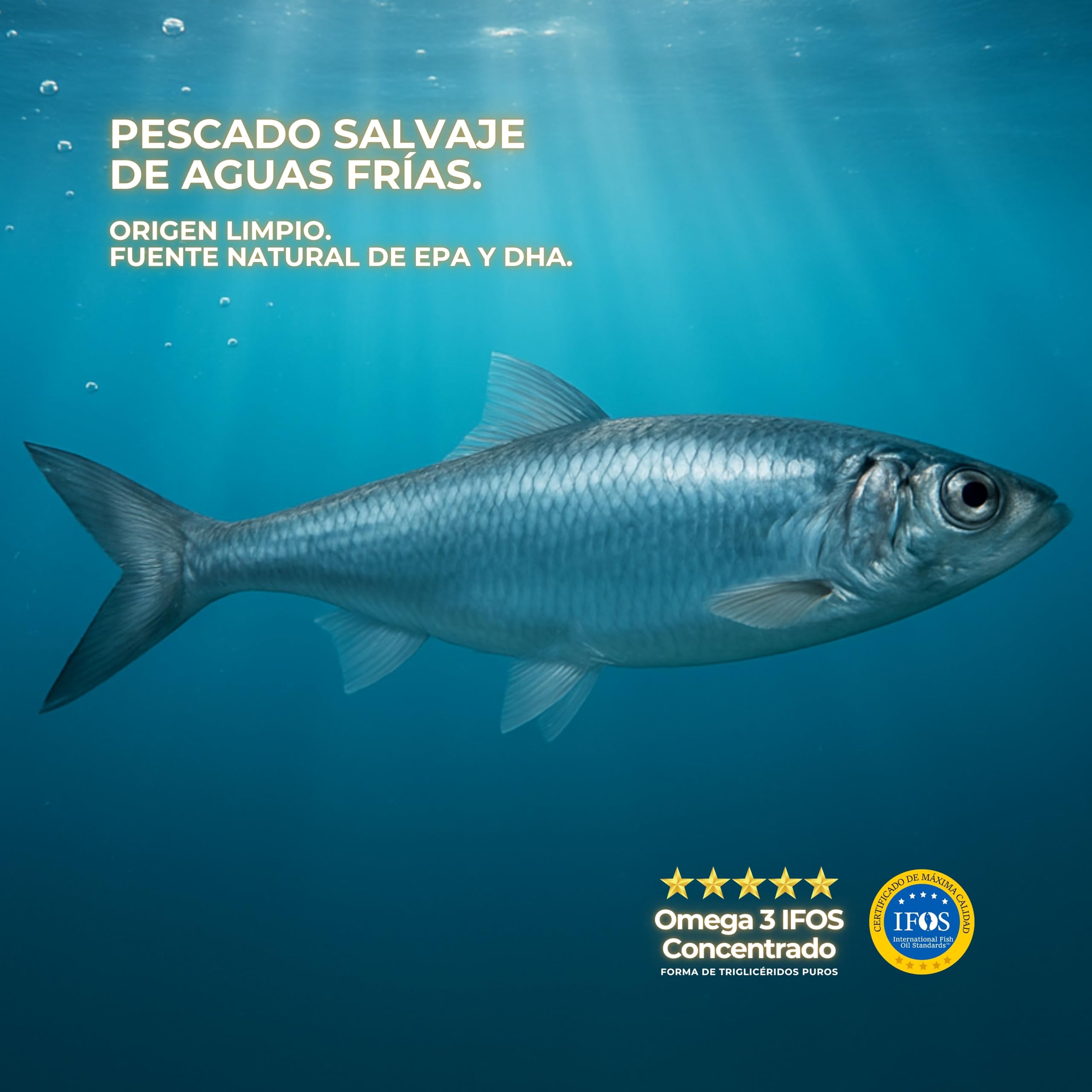 Omega 3 IFOS Capsulas 3000mg con Vitamina E, 30-90 Tomas - Life Pro Healthy, 35% EPA y 25% DHA, 3000mg por dosis diaria, Suplemento para la Salud Cardiovascular, Aceite de Pescado Puro y Destilado