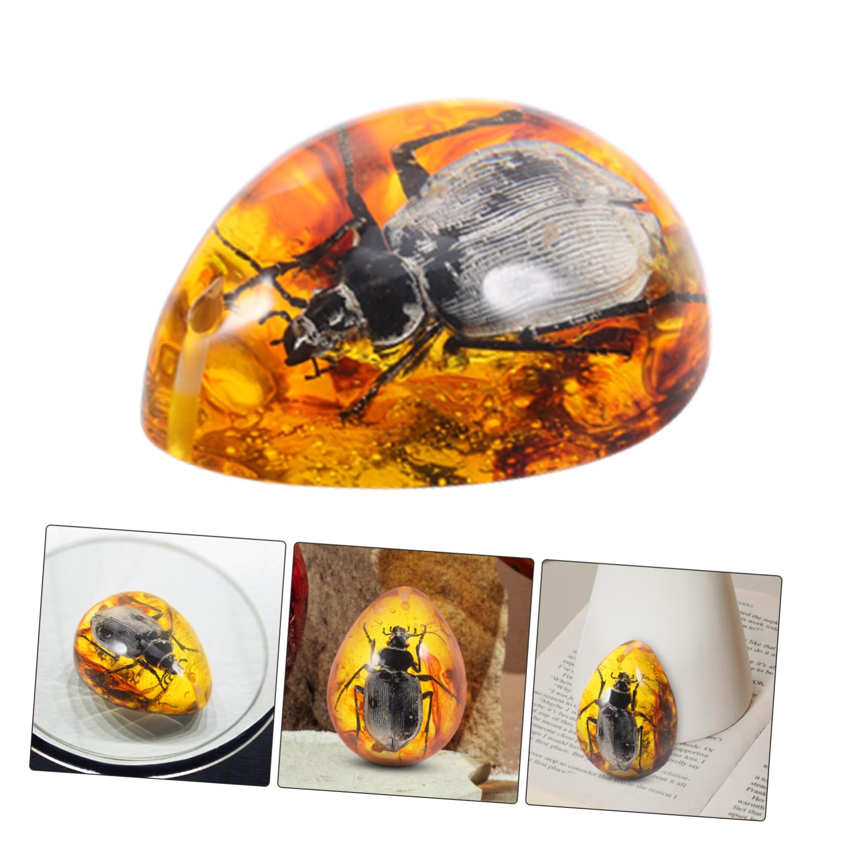 Abaodam Amber Beeswax Specimen Insect Amber Desktop Amber Ornament Amber Insect Specimen Amber Stone Beetle Insectspecimen Amber Insect Pendant Insect Samples Stones DIY Beetle Amber Resin