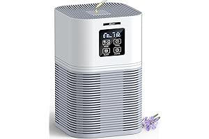 VEWIOR Air Purifiers for Cleaner Air