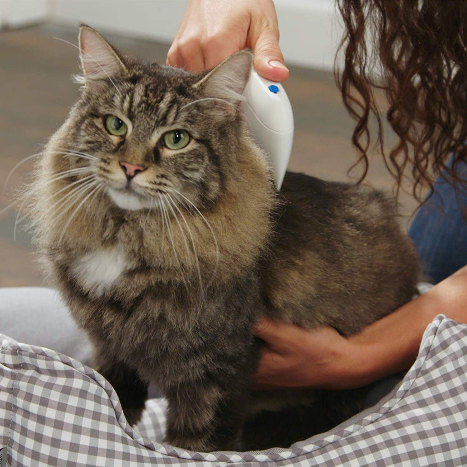 Peine de pulgas para mascotas, peine de aseo para mascotas, peine limpiador de piojos, herramientas de eliminación de aseo para gatos y perros, cepillo de limpieza antipulgas para mascotas