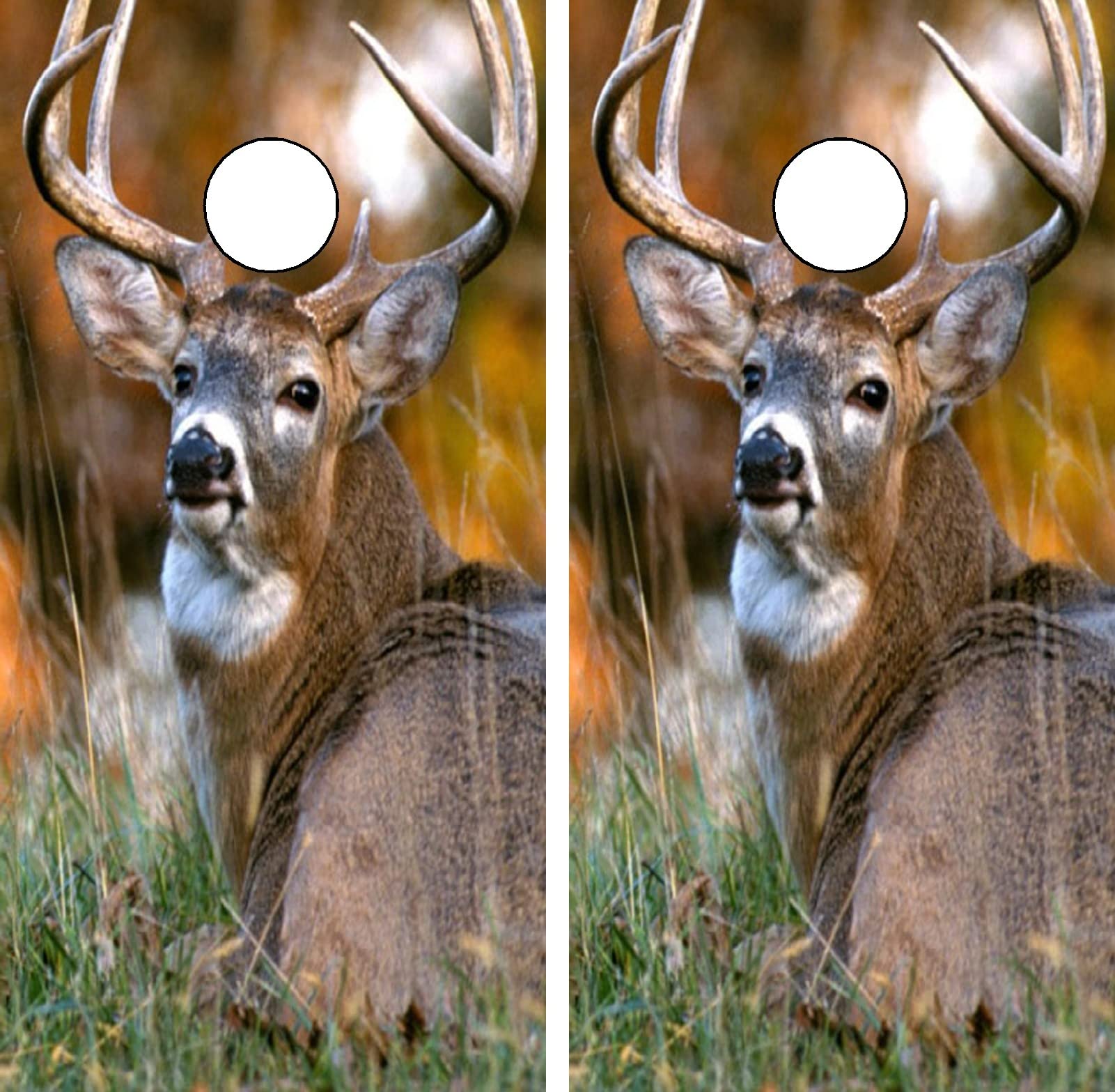 GRAPHIX EXPRESS Cornhole Board Wraps - Cornhole Wraps for Boards - Cornhole Decals for Boards - Cornhole Vinyl Board Wrap - Cornhole Skins for Boards - Cornhole Set - C104 Deer Hunting