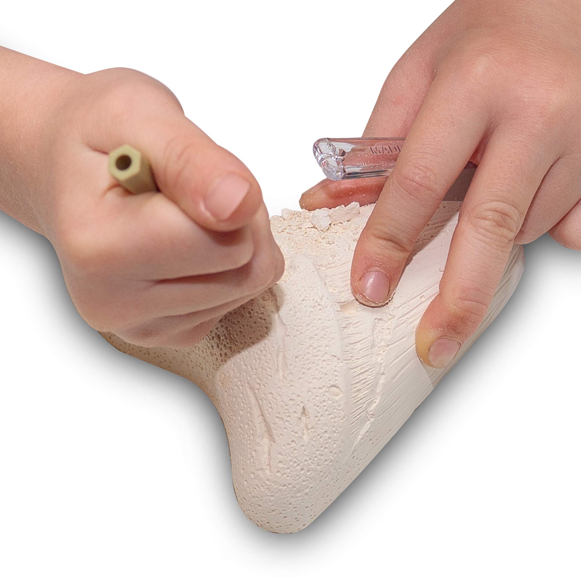 Tobar Shark World Dig and Discover Miniature Excavation Craft Kit - Image 4