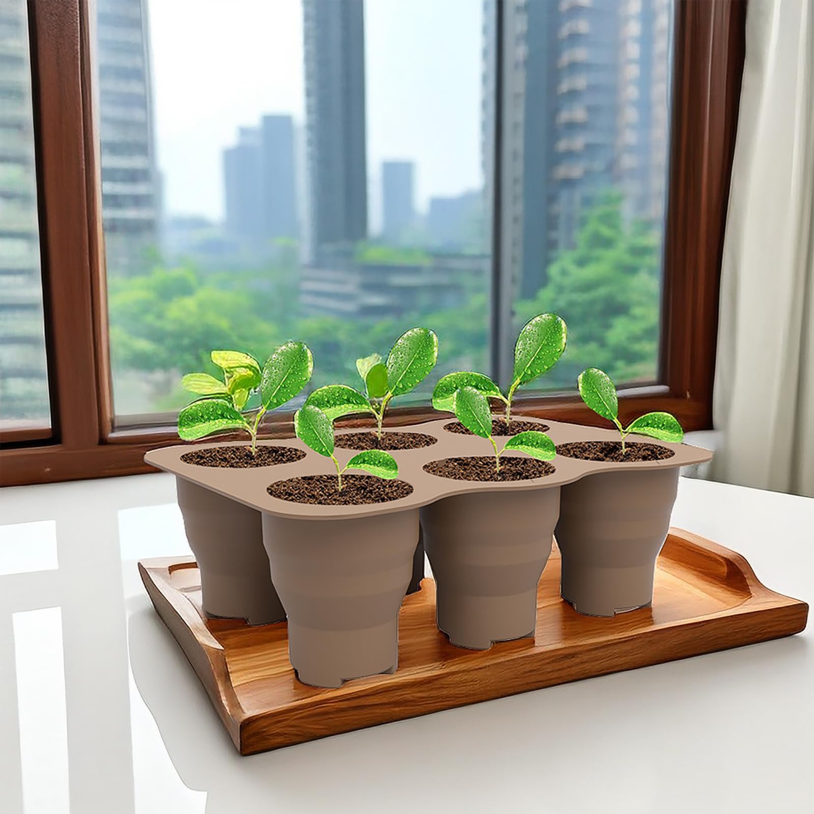 Amazon.co.jp: 植栽ポット 育苗ポット 育苗トレイ 苗ポット 栽培ポット