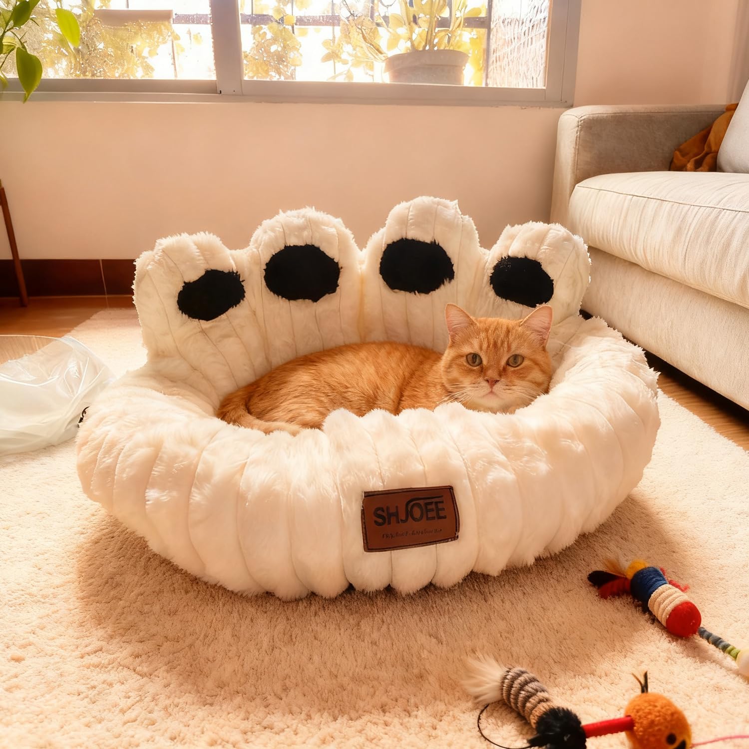 Cuccia Cane Interno Letto Morbida per Cani Lettino Gatto Lettino per Animali Domestici Cuccia per Gatti Fluffy Peluche Letto per Cani Lavabili Antiscivolo (Beige, 60cm)