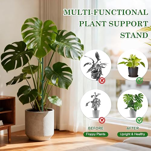 Miniatura 4 de Paquete de 5 postes ajustables para plantas  Poste de soporte apilable para interiores y exteriores con abrazaderas, adecuado para apoyar Monstera y