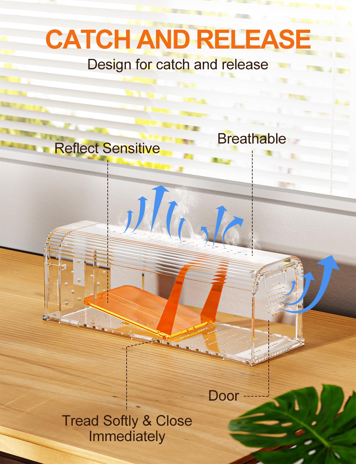 TAKRINK Trappola per Topi Umana Non Letale 2 Confezione Trappola per Topi per Esterni Riutilizzabili per Catturare e Rilasciare, Sicura per Bambini e Animali Domestici con Una Spazzola di Spugna