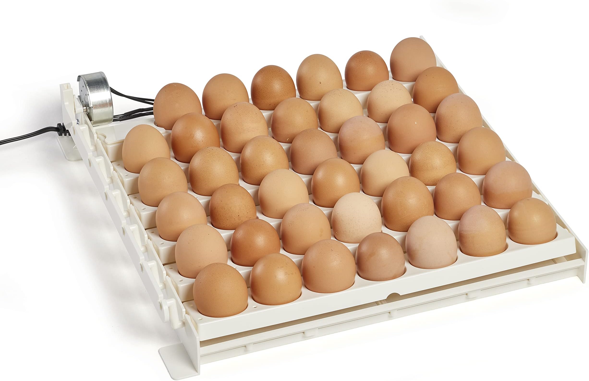 Farm Innovators Automatic Egg Turner, 41 Spot Chicken Egg Turning Tray with Thermometer for Improved Hatching Rate - Compatible with Select Incubators