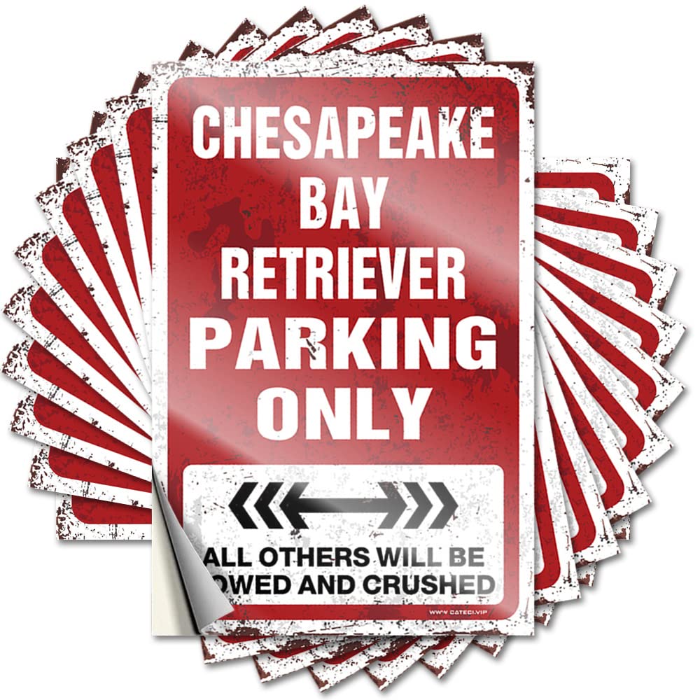 Fzfn Colour Sticker - Fire Bottle Chesapeake Bay Retriever Parking Only For Autumn Music(12X18cm)