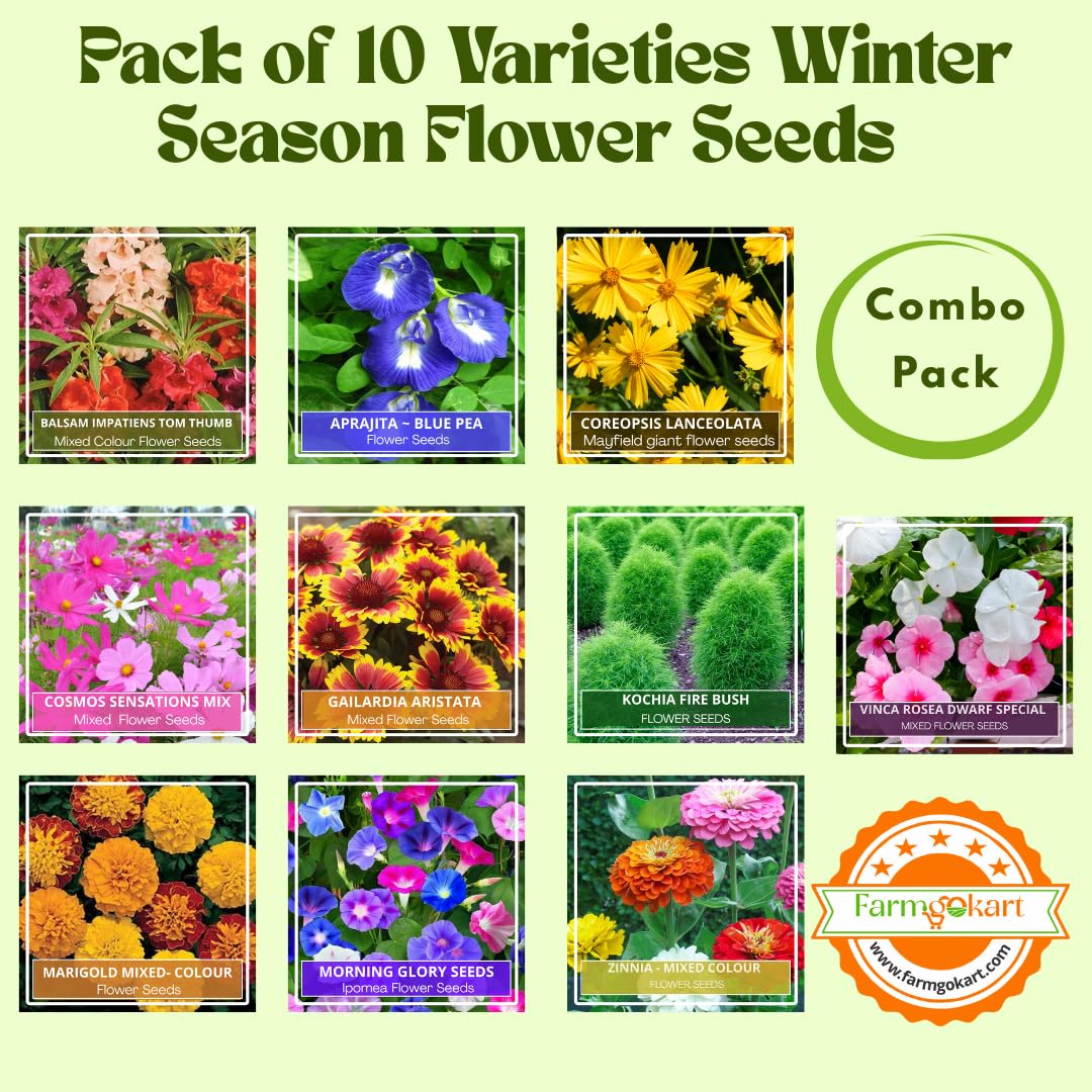 Summer Season Home Gardening Flower Seeds Collection - Pack of 10 Varaties ~ (Gold Collection) 2