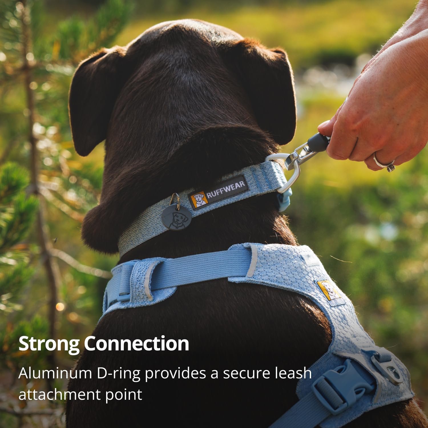 Amazon | RUFFWEAR(ラフウェア) フロントレンジフレックスカラー