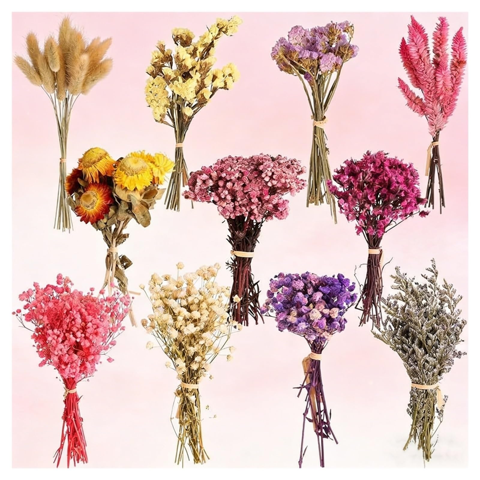 gypsophile séché Boîte de matériel Fleurs séchées mélangées, Mini Petit Bouquet, boutonnière Mariage, Souvenirs, diverses Plantes, boîte Florale(Color3)