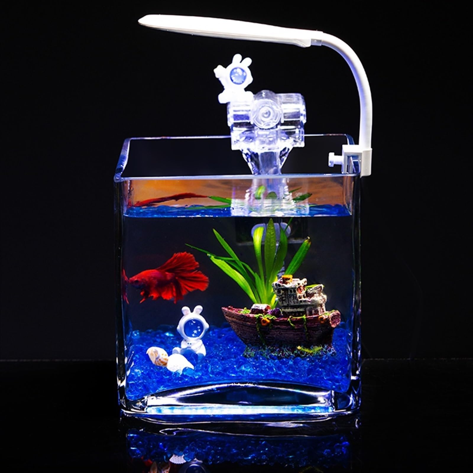 Süßwasserfische Quadratisches verdicktes Glas-Aquarium-Wohnzimmer-Desktop-Mini-Aquarium