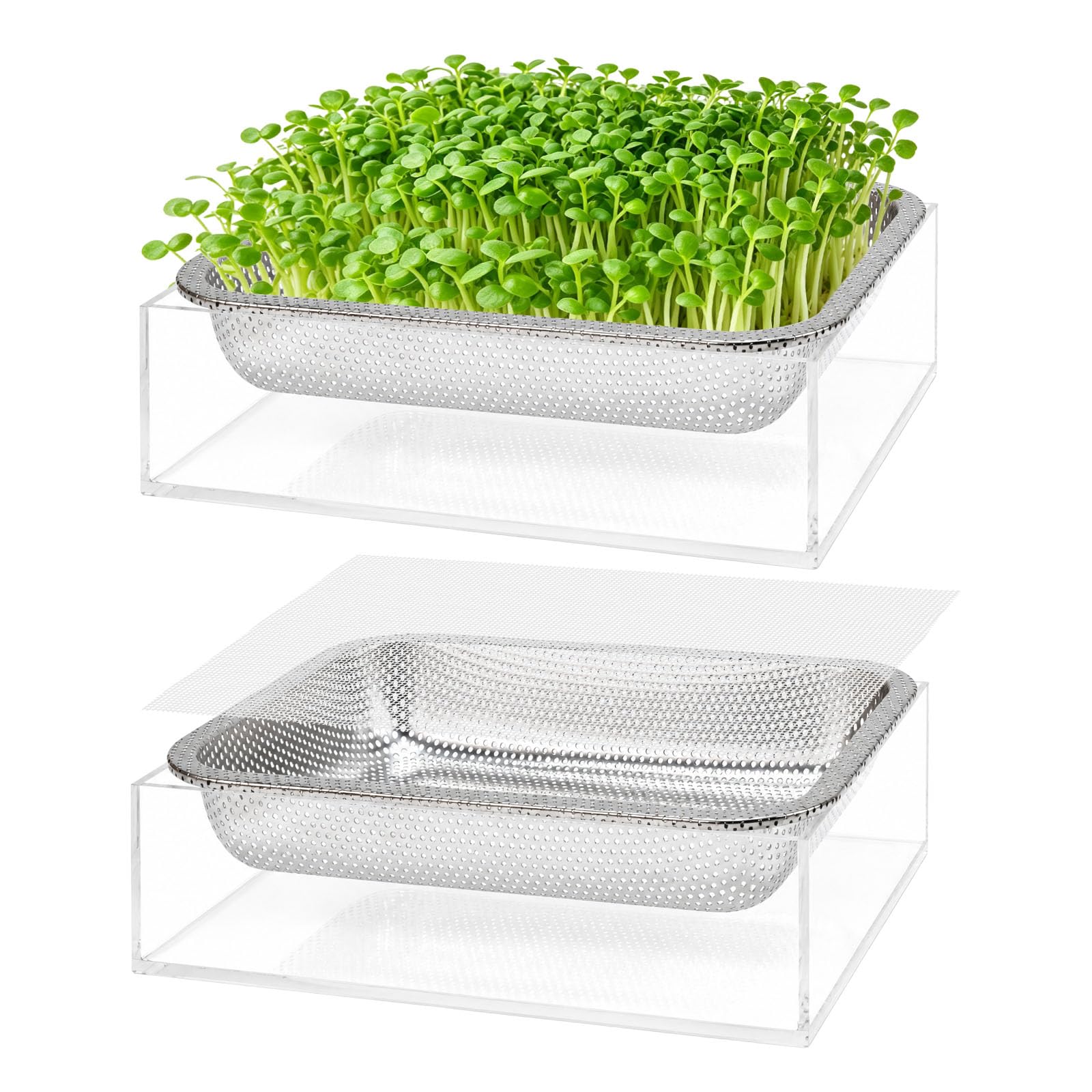 2 Stück Edelstahl Samen Sprouter Tray Visuelle Bodenfreie Kultivierung Keimschale mit Acrylboden Mesh Pads Samen Starter Tray Microgreens Growing Kit für Sprossen Bohnen Indoor Sprossen Sprossen Samen